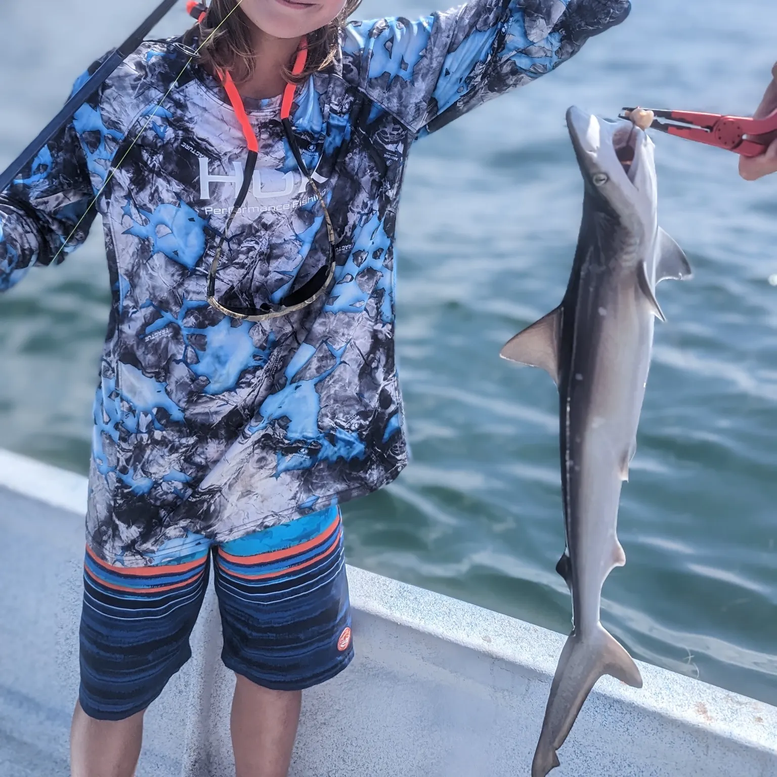 The most recent Silvertip shark catches on Fishbrain