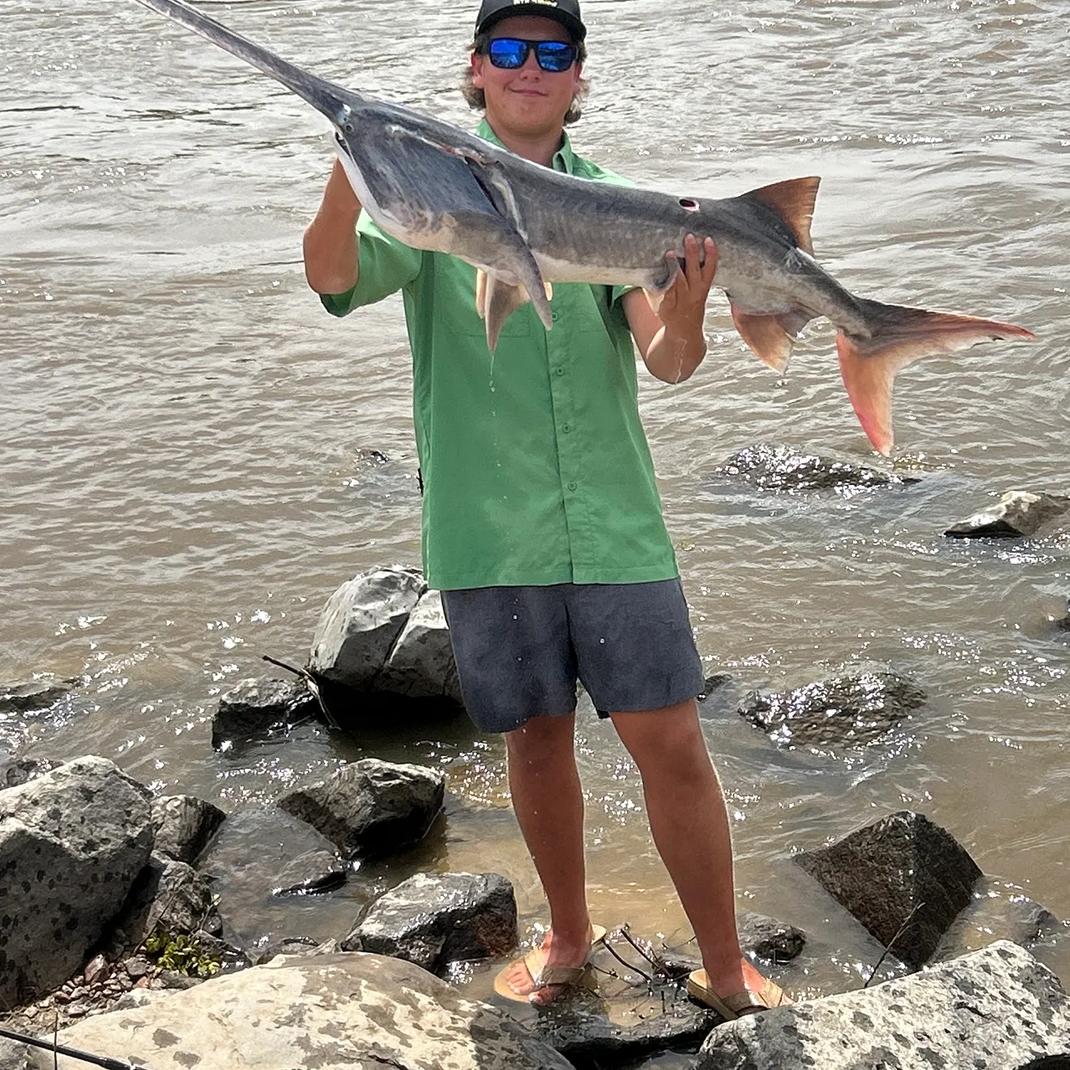 The most recent Paddlefish catches on Fishbrain