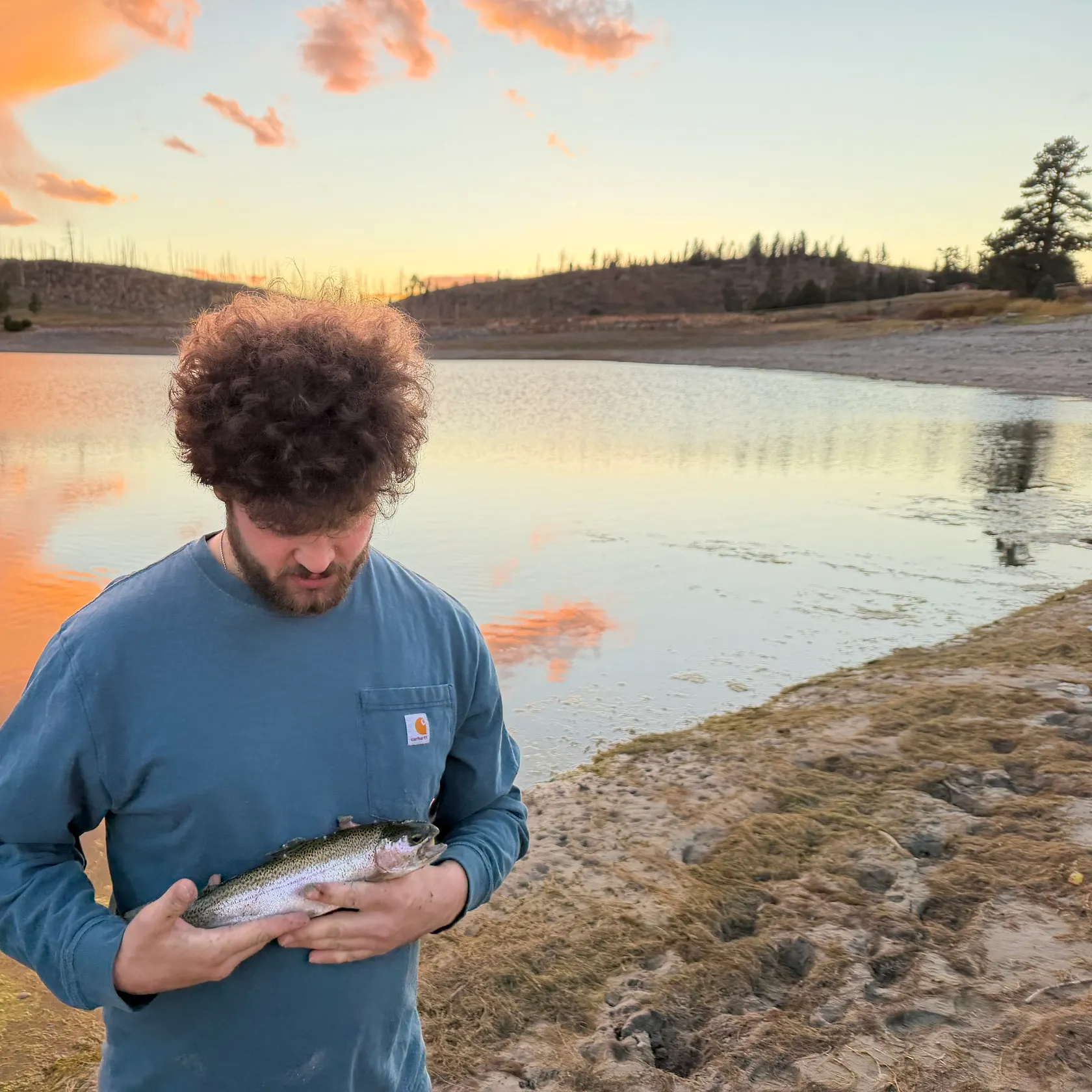 Rainbow trout caught on Fishbrain
