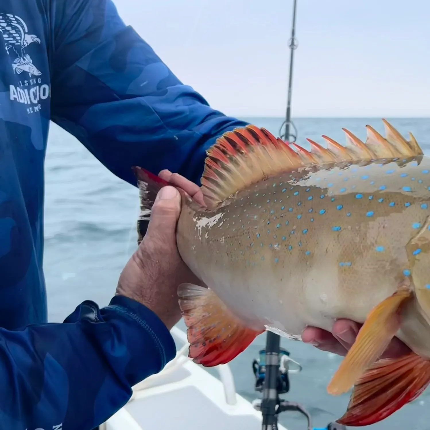 The most recent Leopard coralgrouper catches on Fishbrain