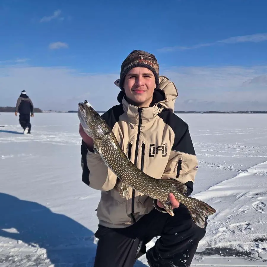 The most recent Northern pike catches on Fishbrain