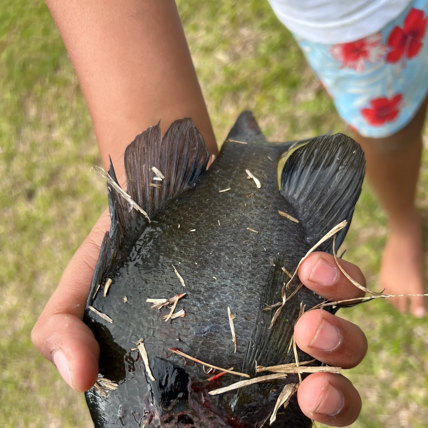 most liked catch image
