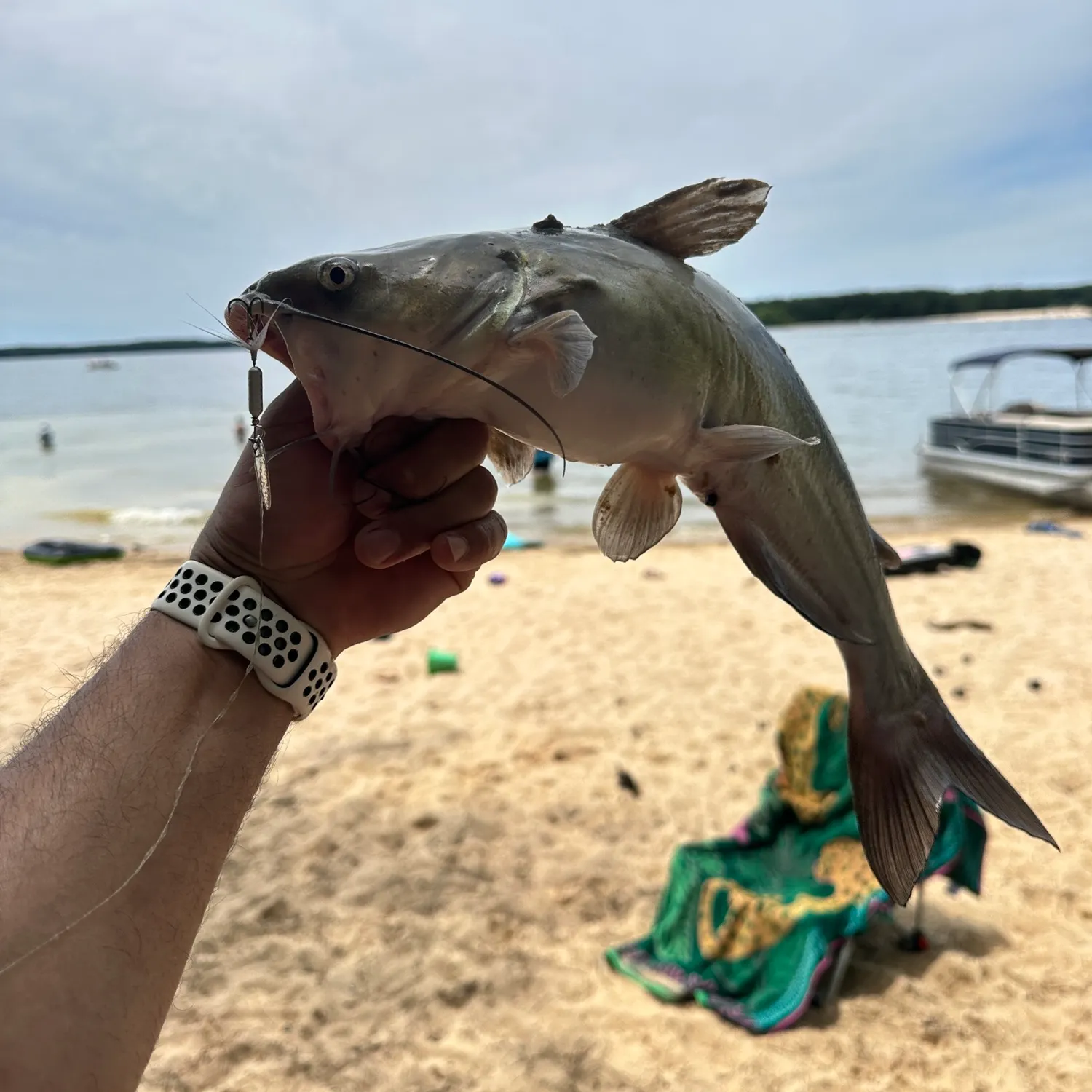 catch