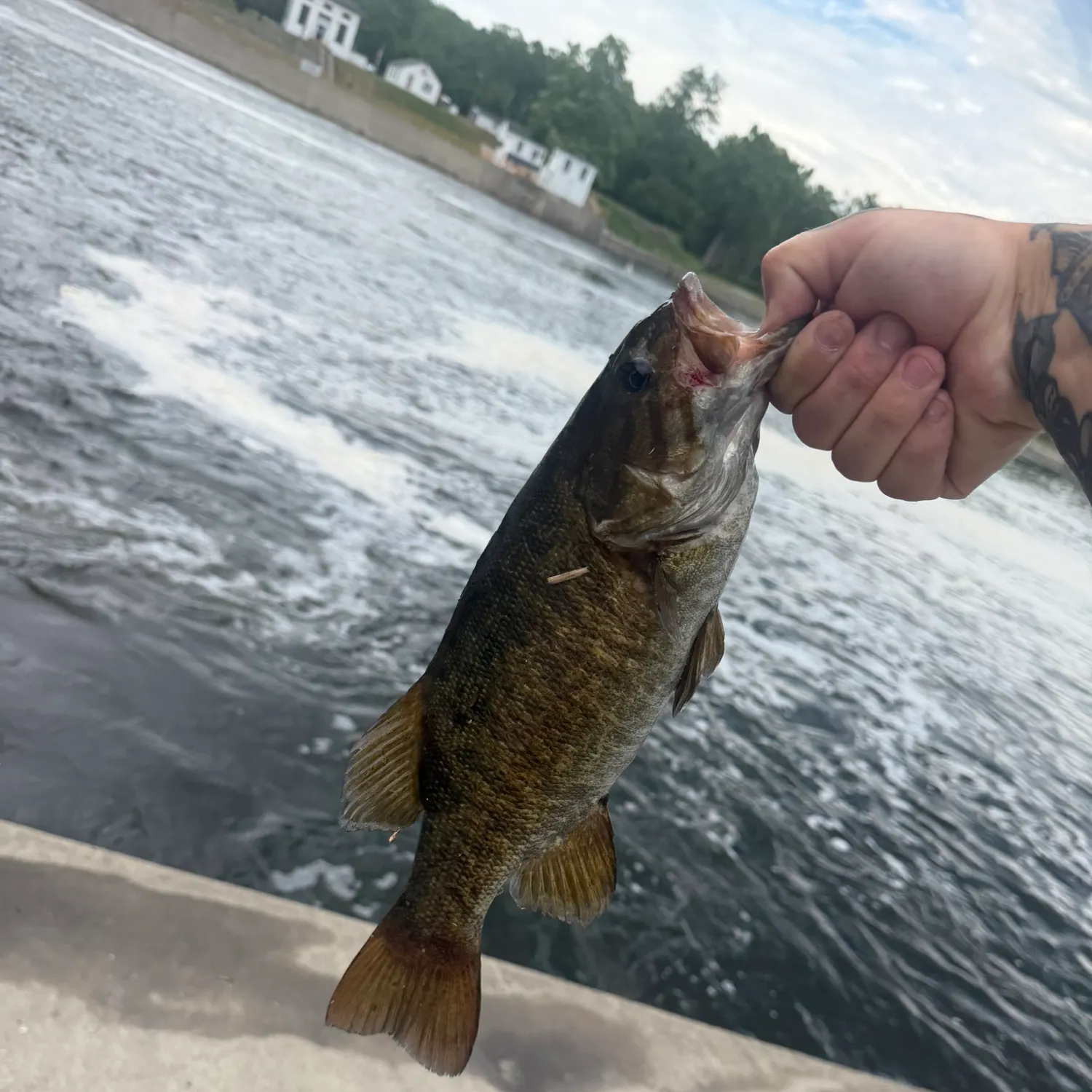 catch