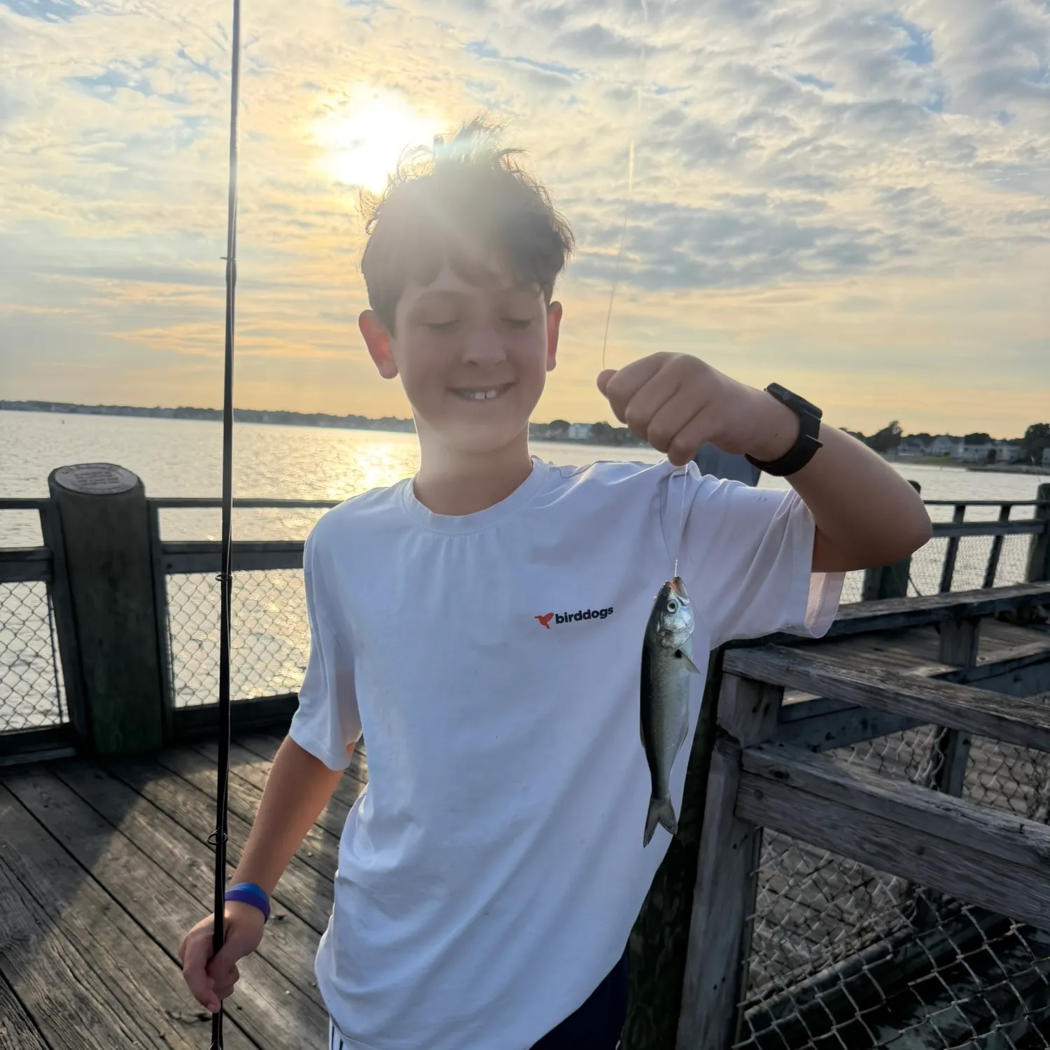 Bluefish caught on Fishbrain