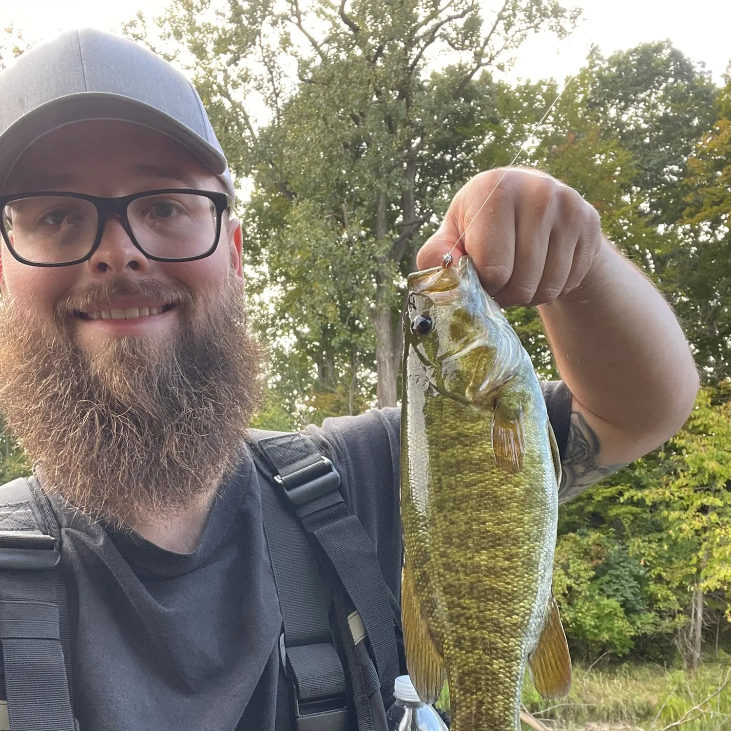 Smallmouth bass caught on Fishbrain