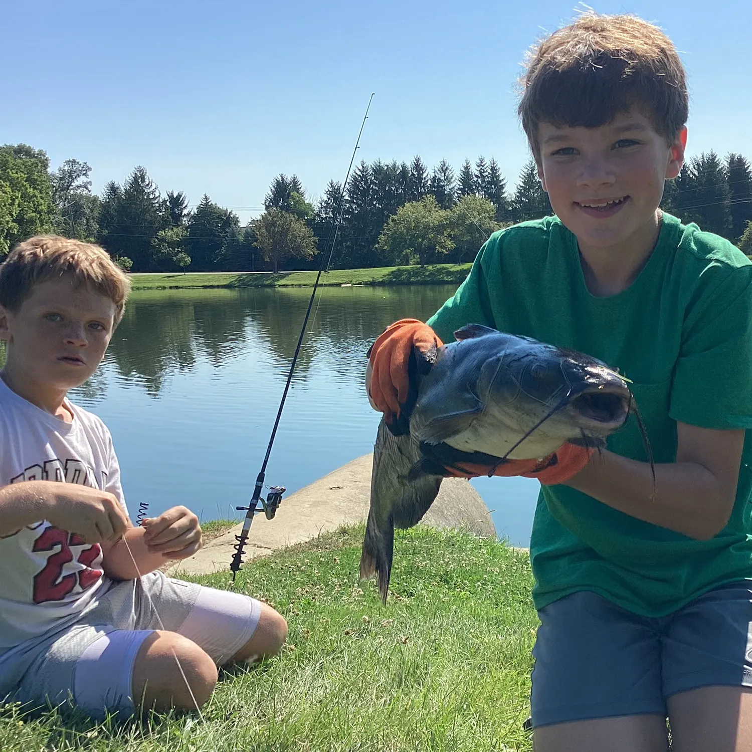 Channel catfish caught on Fishbrain
