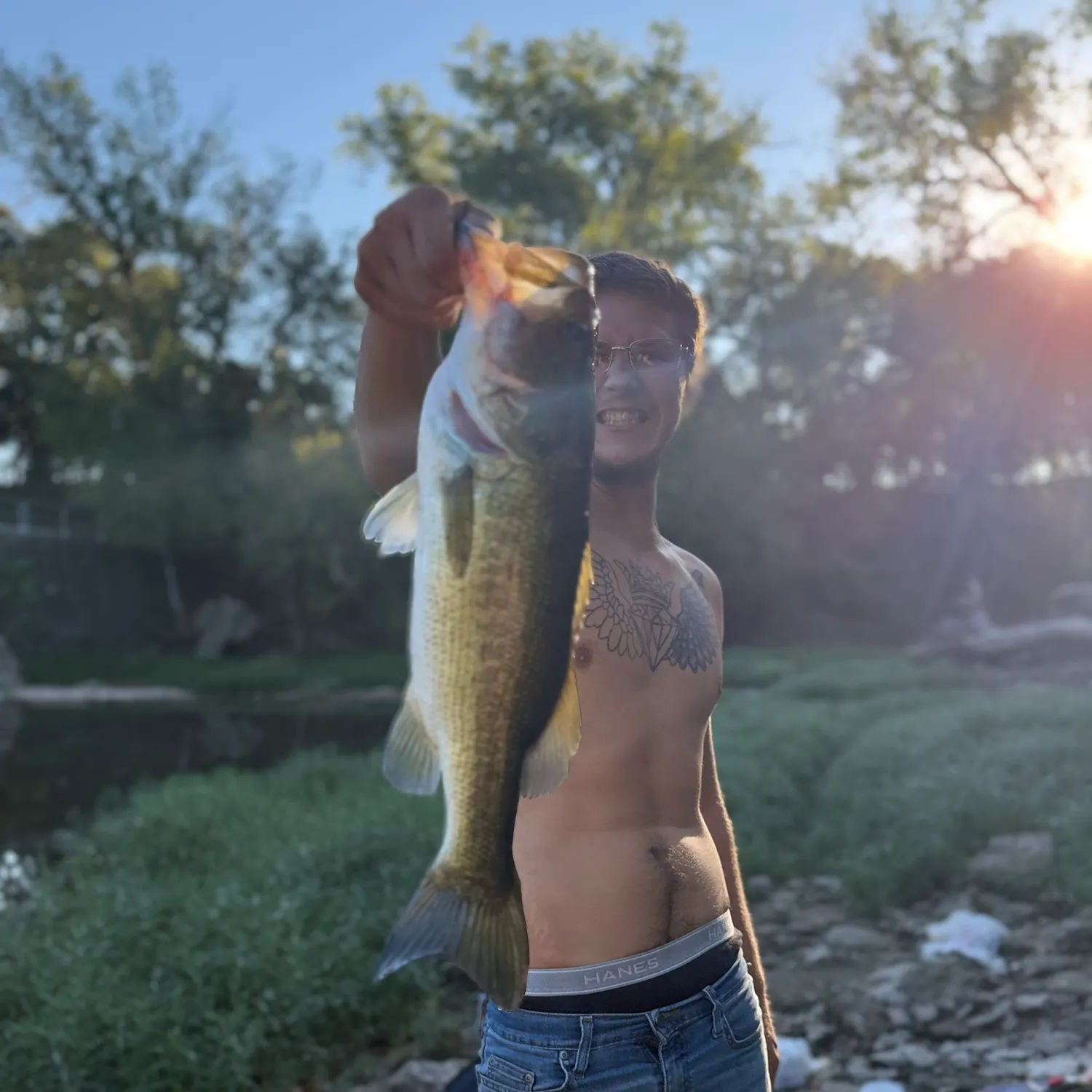 The most recent Largemouth bass catches on Fishbrain