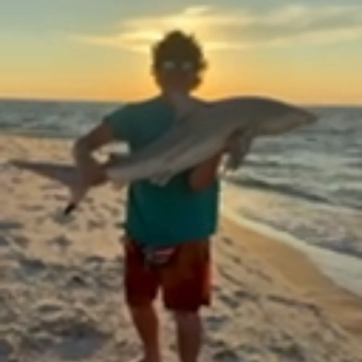 Spinner shark caught on Fishbrain