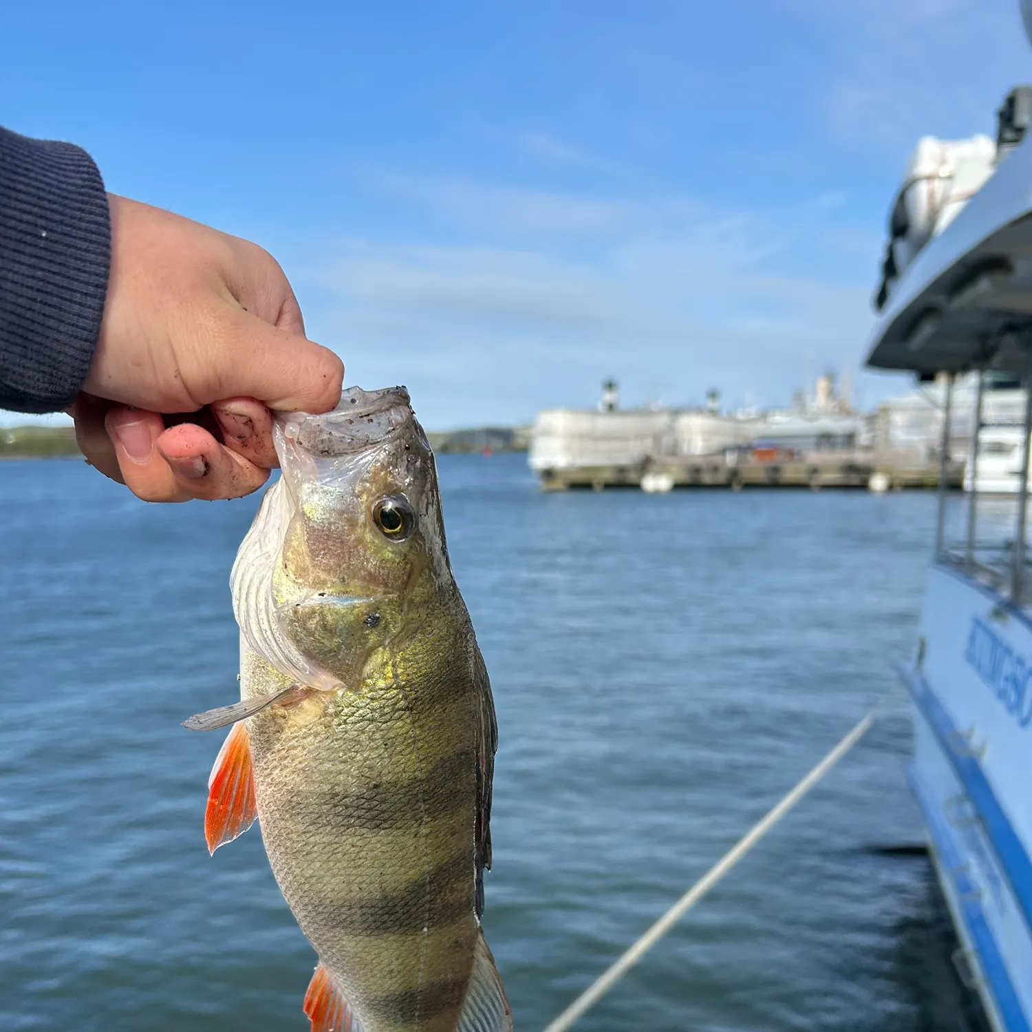 catch