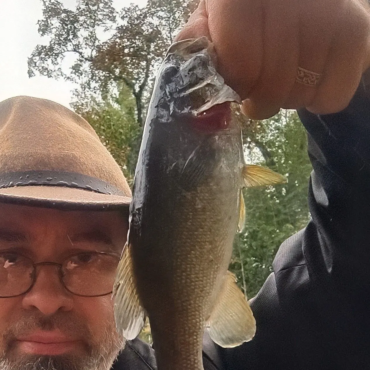 Smallmouth bass caught on Fishbrain
