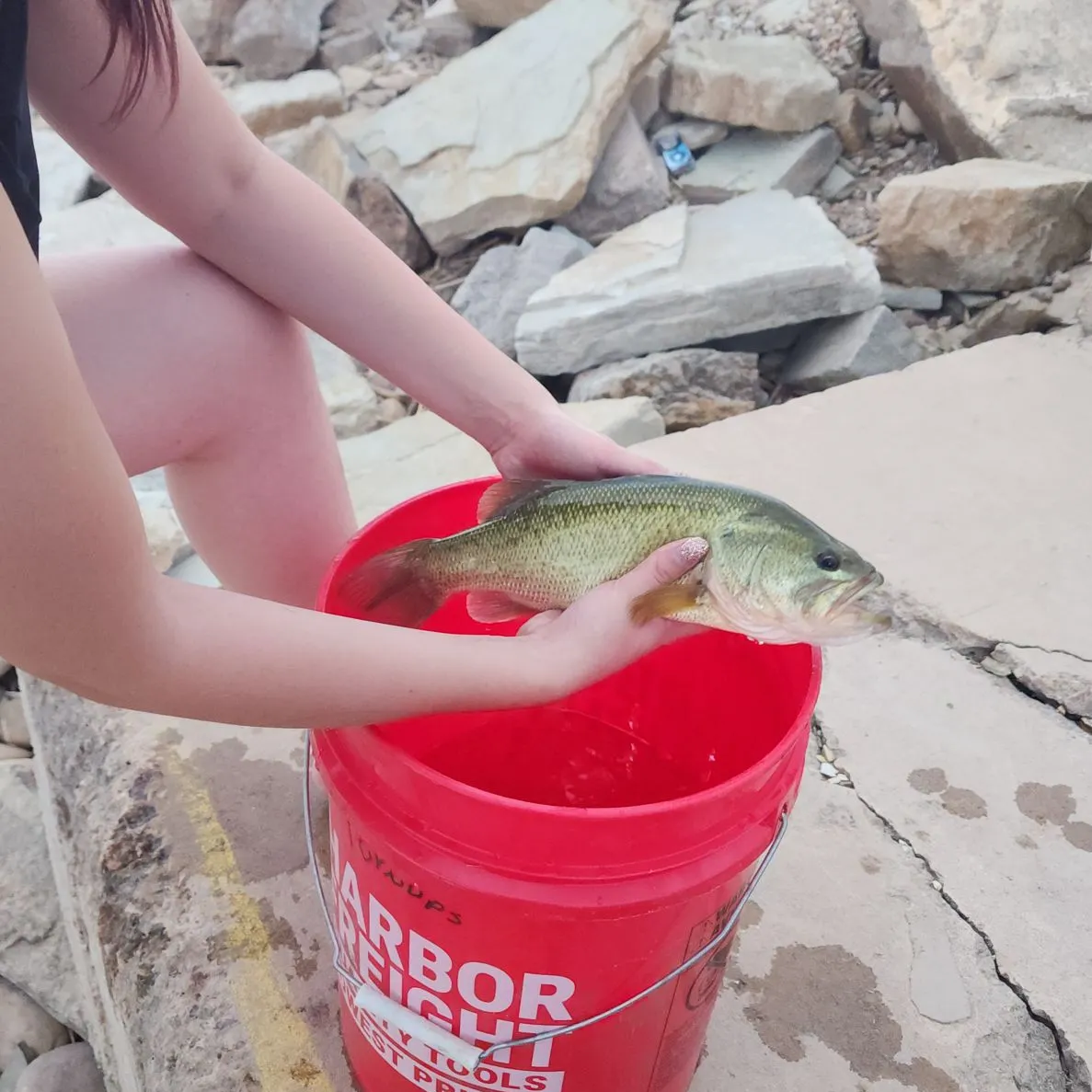 Fish caught on Fishbrain