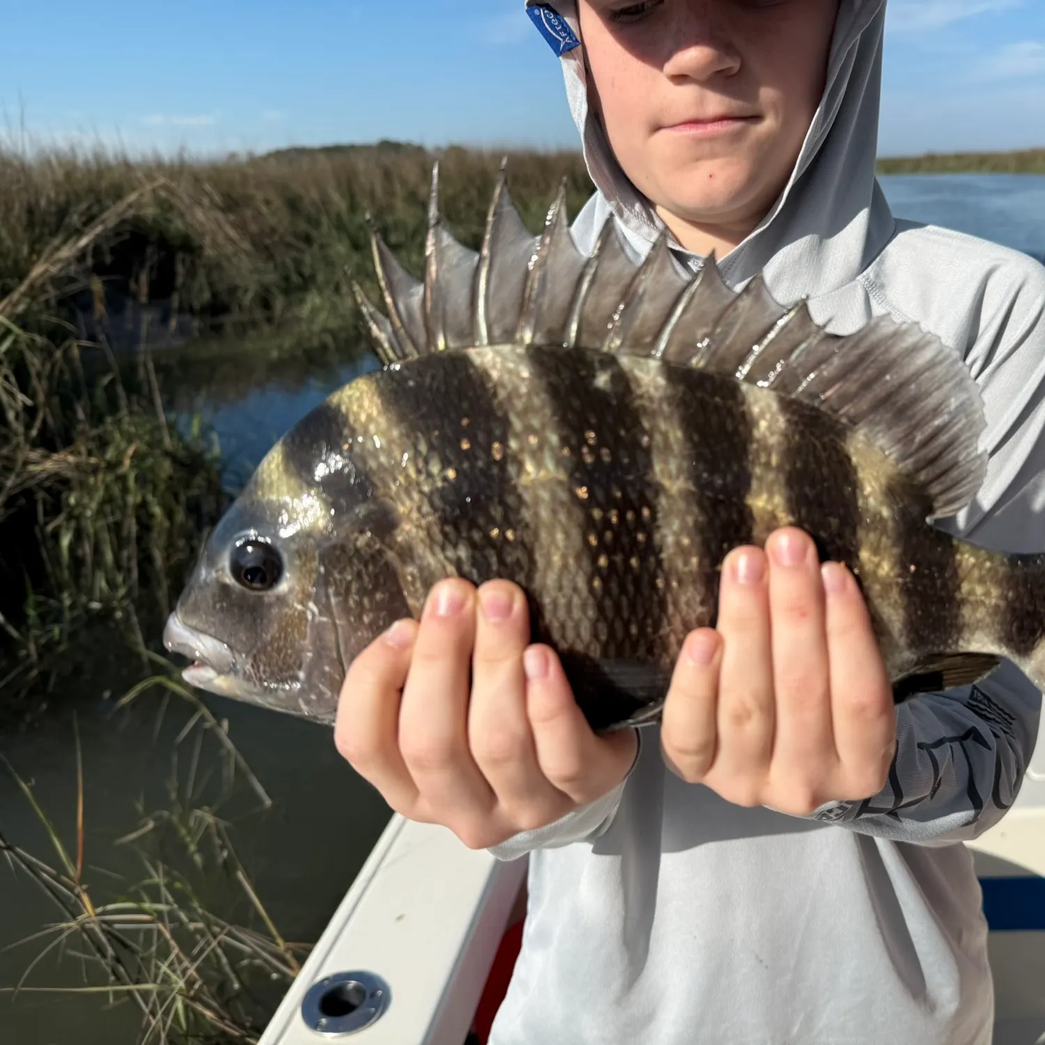Sheepshead caught on Fishbrain