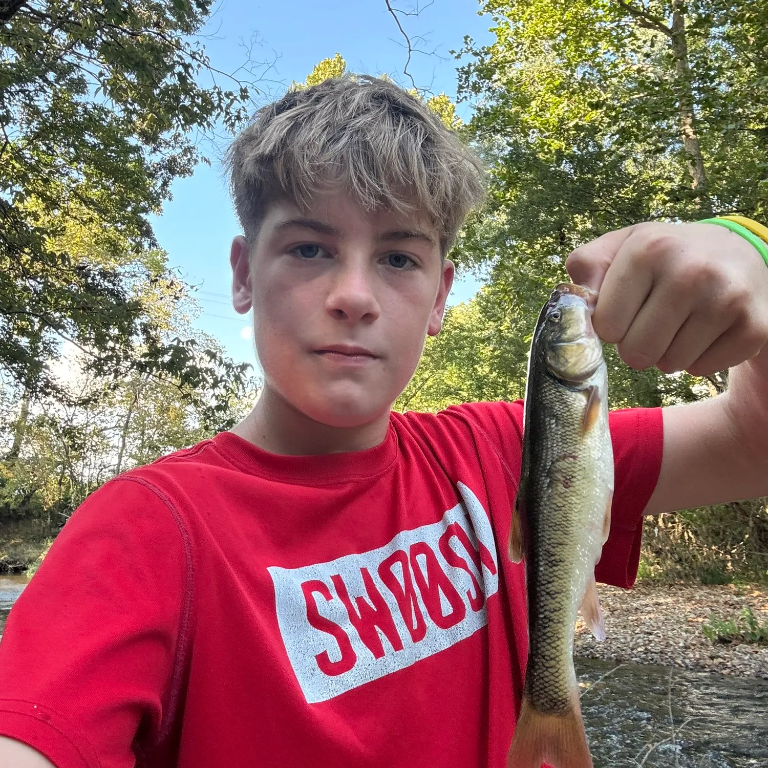 Creek chub caught on Fishbrain
