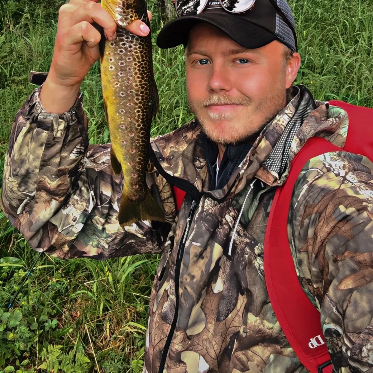 Brown trout caught on Fishbrain