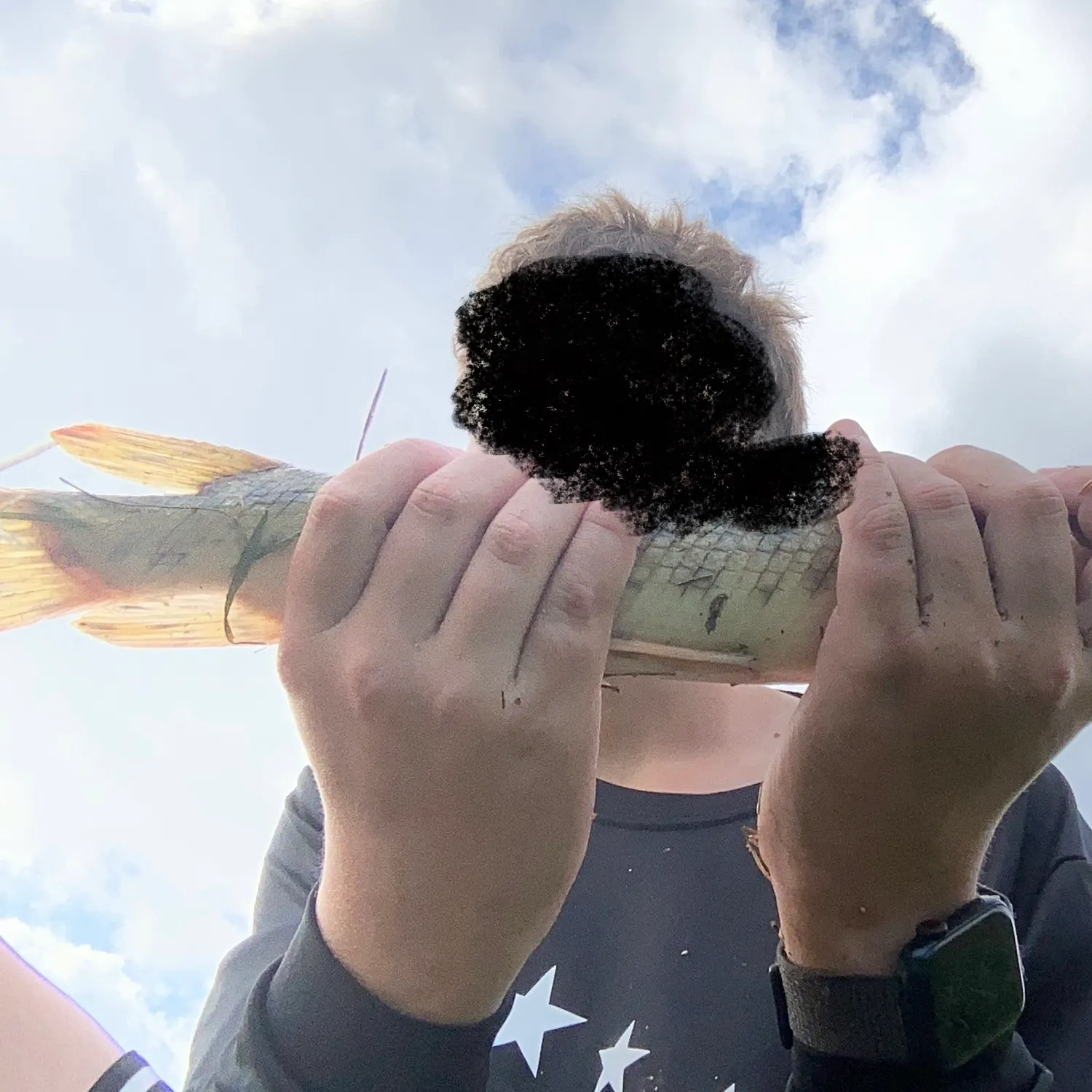 The most recent Spotted gar catches on Fishbrain