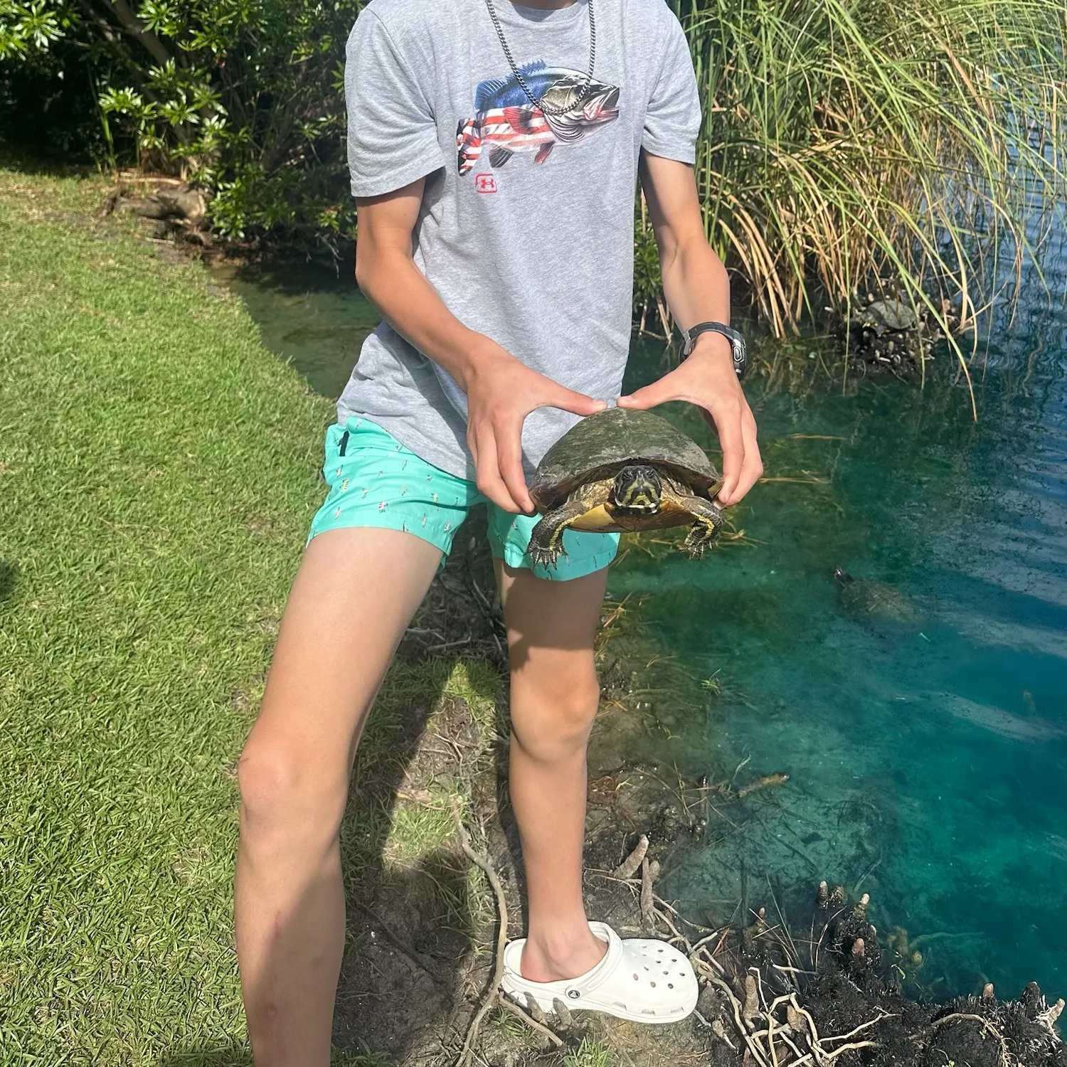 The most recent Painted turtle catches on Fishbrain