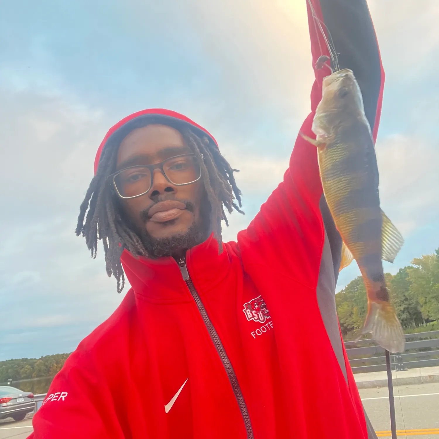 Yellow perch caught on Fishbrain