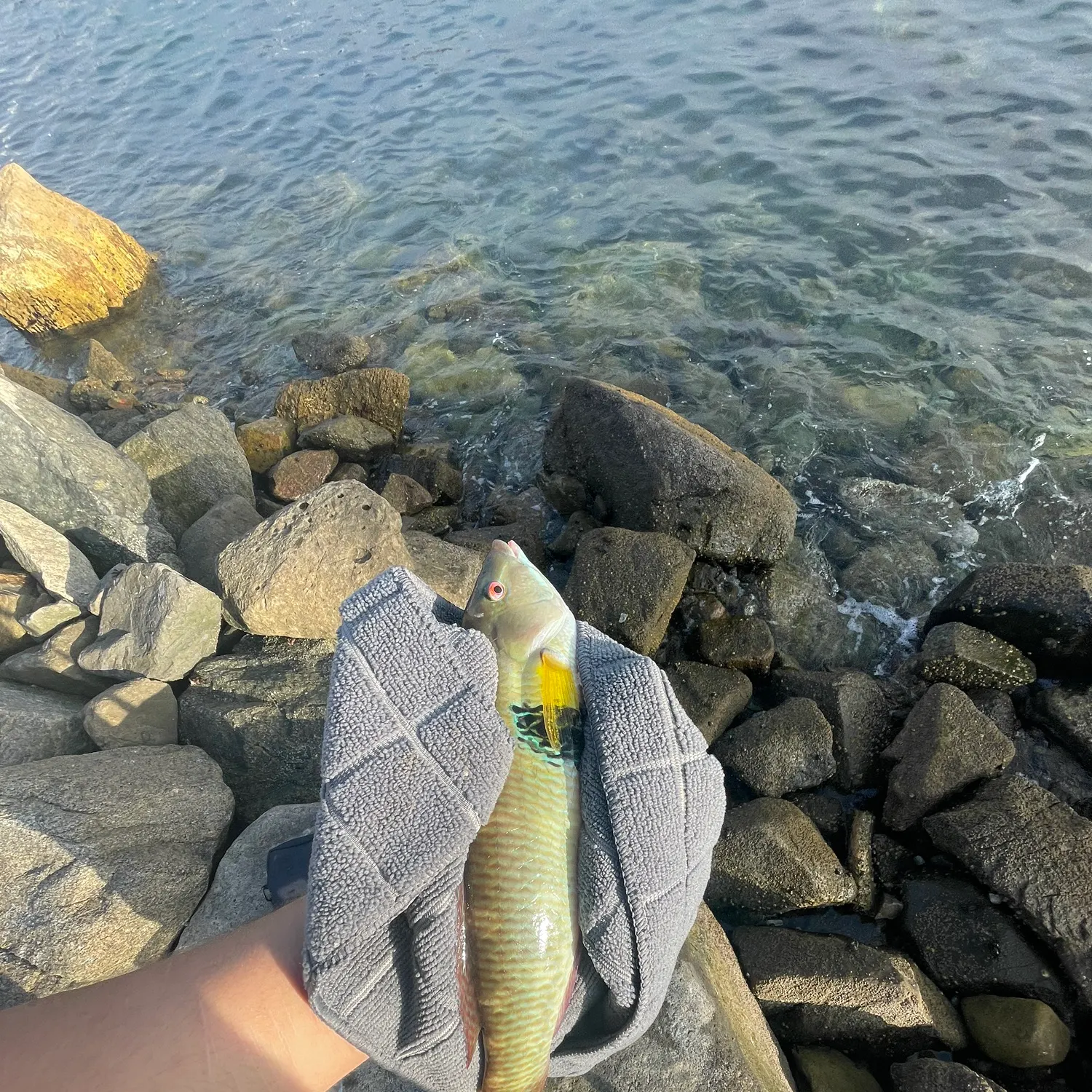 catch