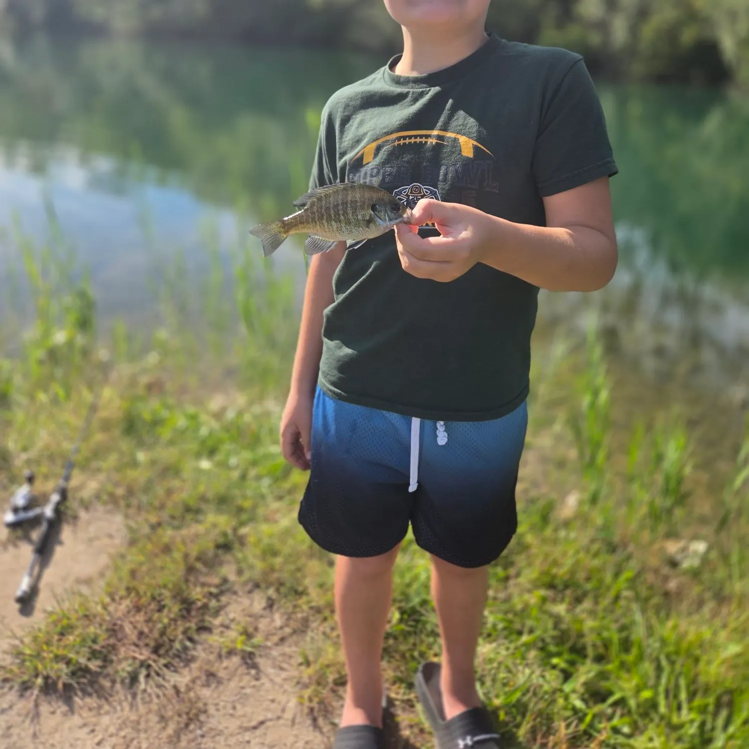 Bluegill caught on Fishbrain
