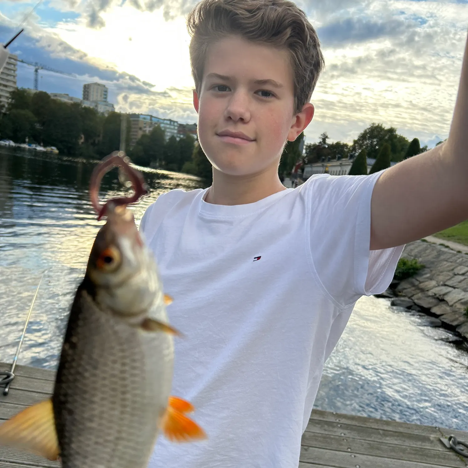 Common roach caught on Fishbrain