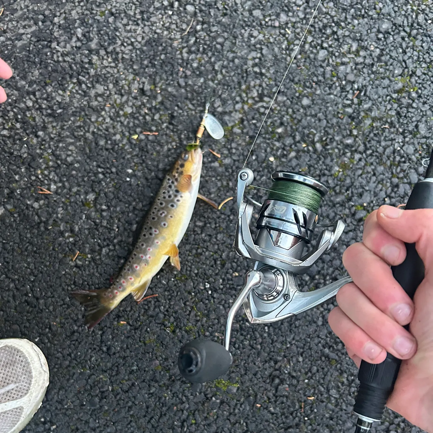 recently logged catches