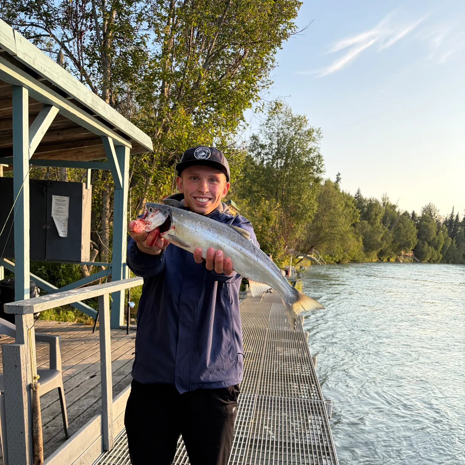 The most recent Sockeye salmon catches on Fishbrain
