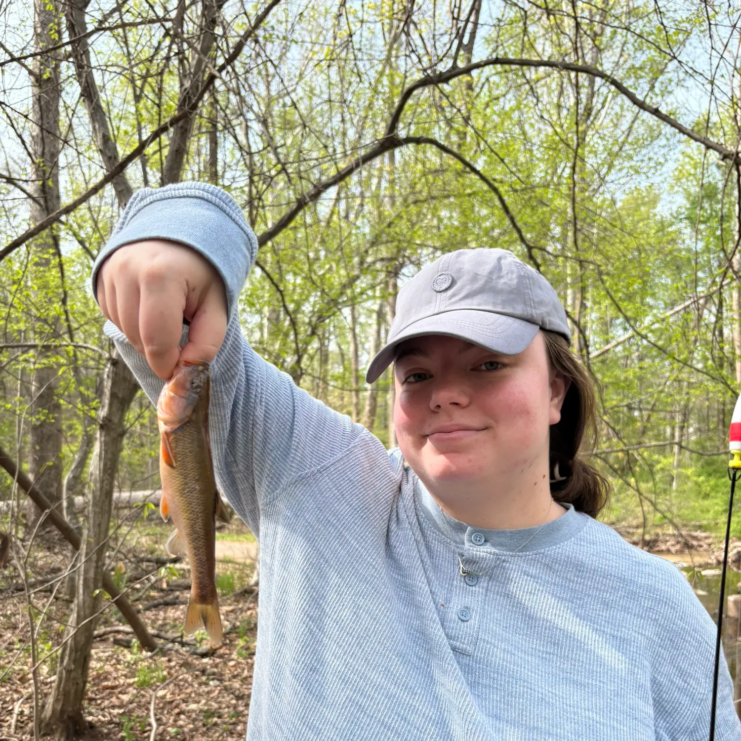 The most recent Hornyhead chub catches on Fishbrain