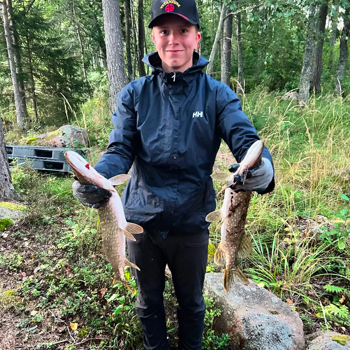 Northern pike caught on Fishbrain
