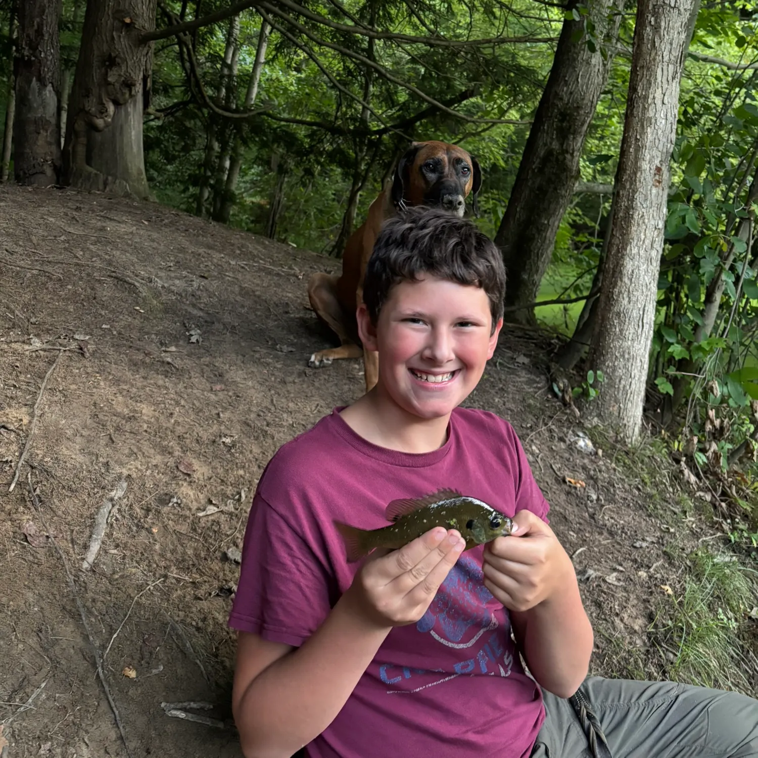 Bluegill caught on Fishbrain