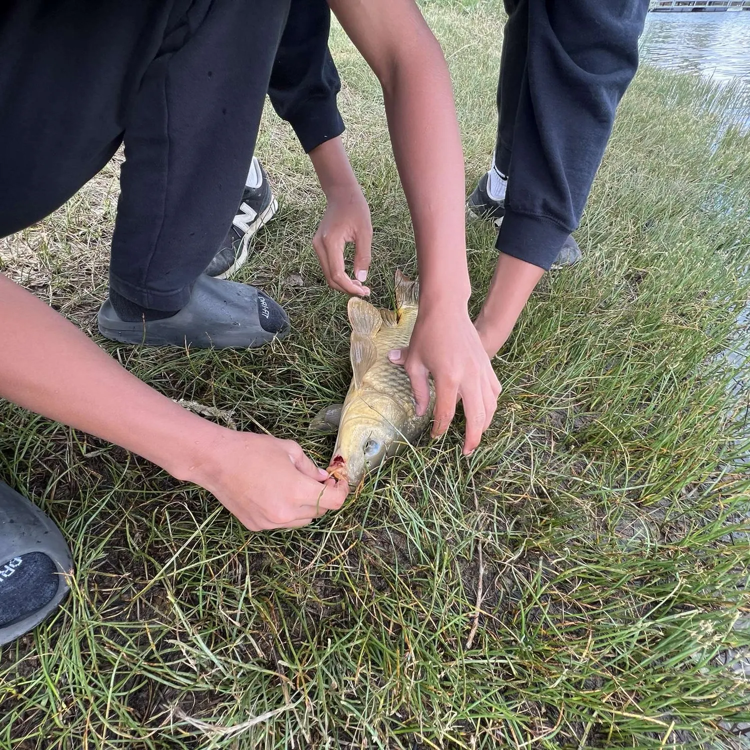 catch
