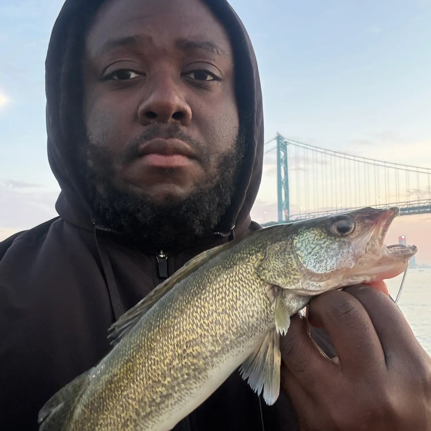 Walleye caught on Fishbrain