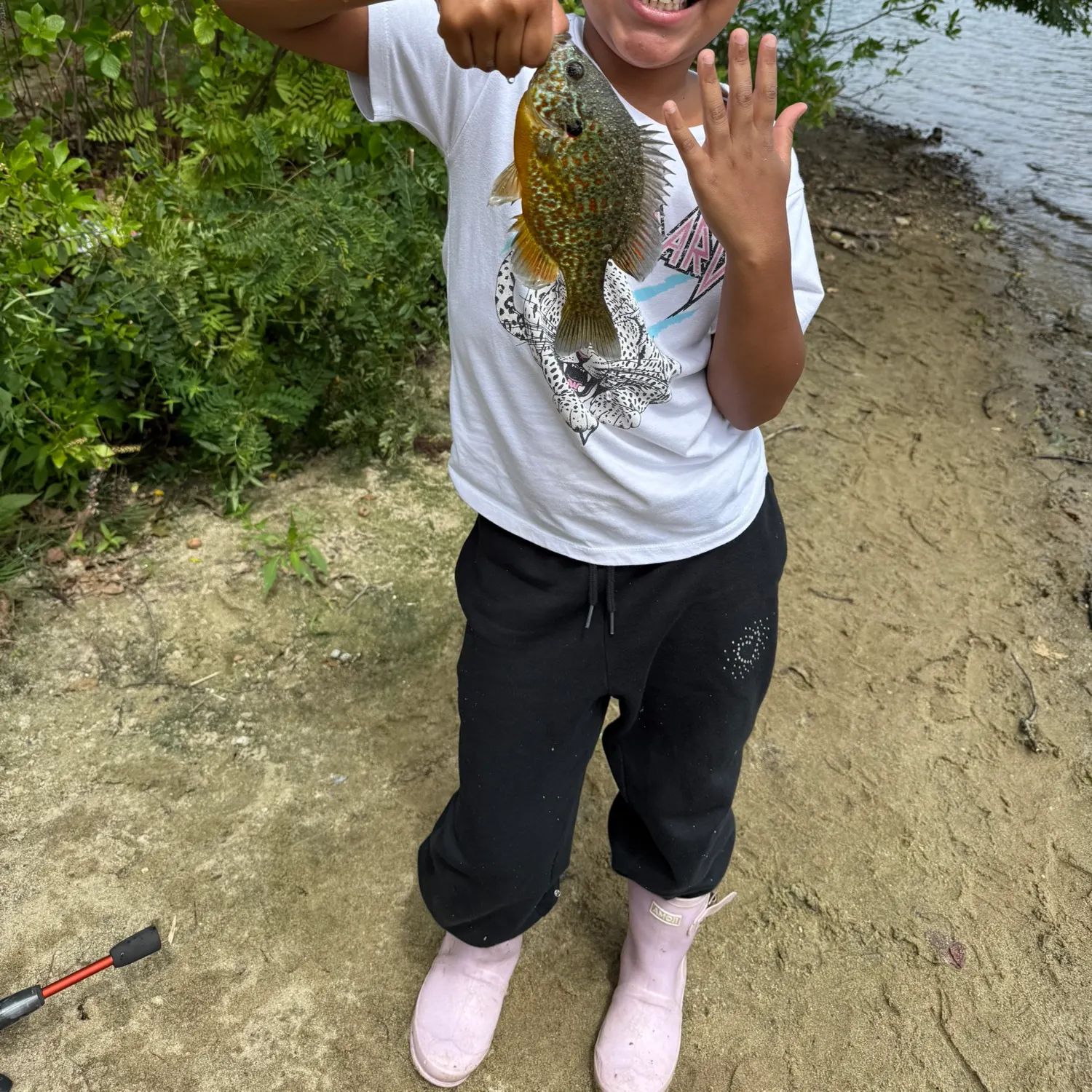 Fish caught on Fishbrain