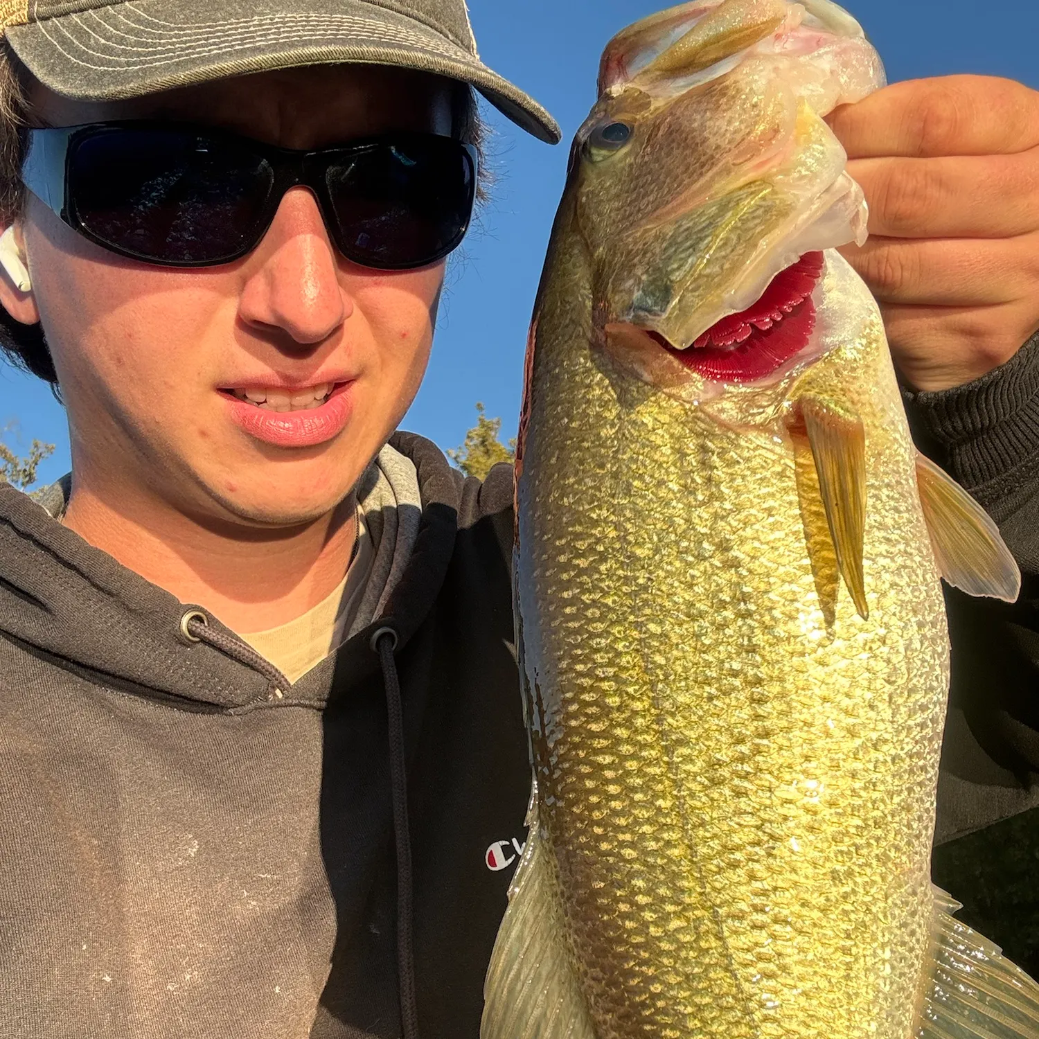 Largemouth bass caught on Fishbrain
