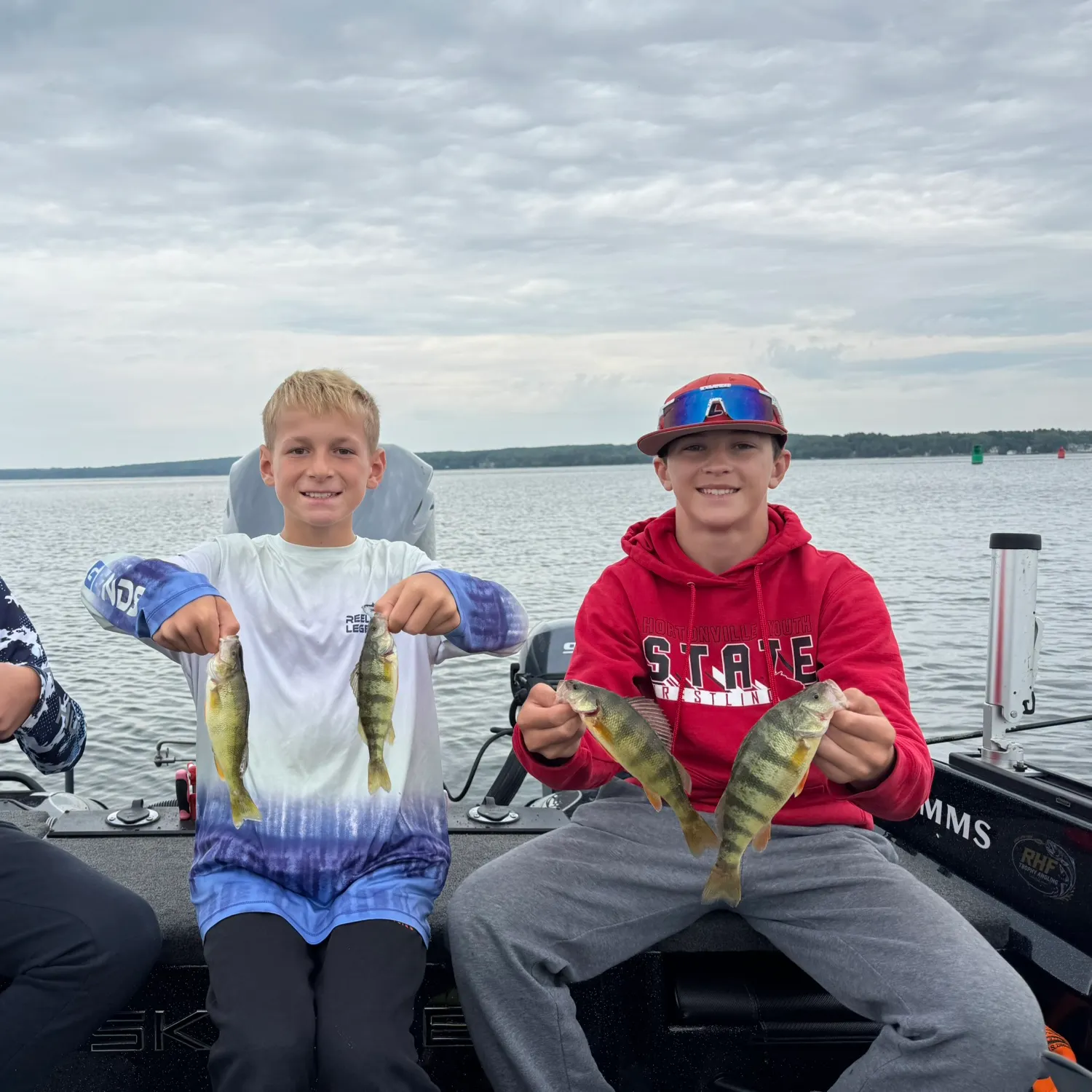 Yellow perch caught on Fishbrain