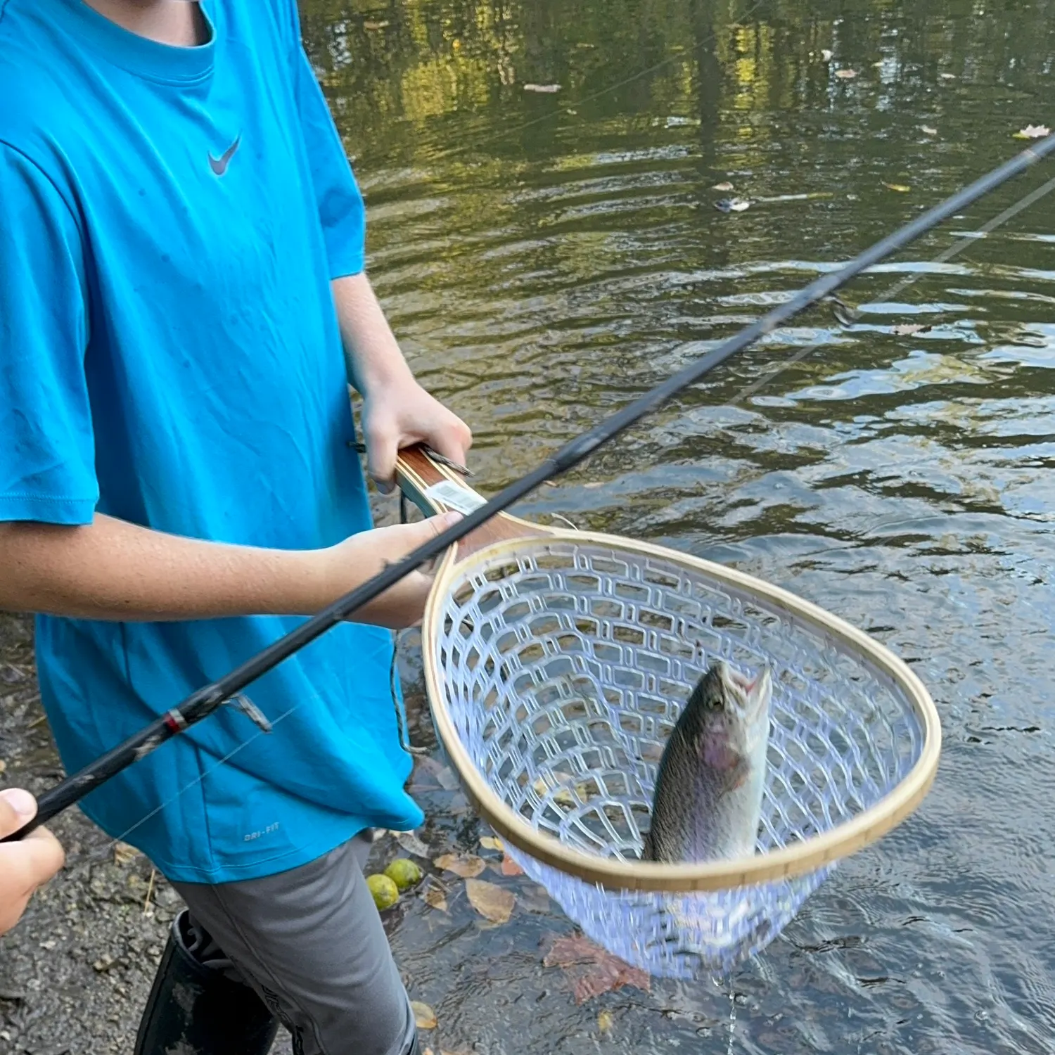 Rainbow trout caught on Fishbrain