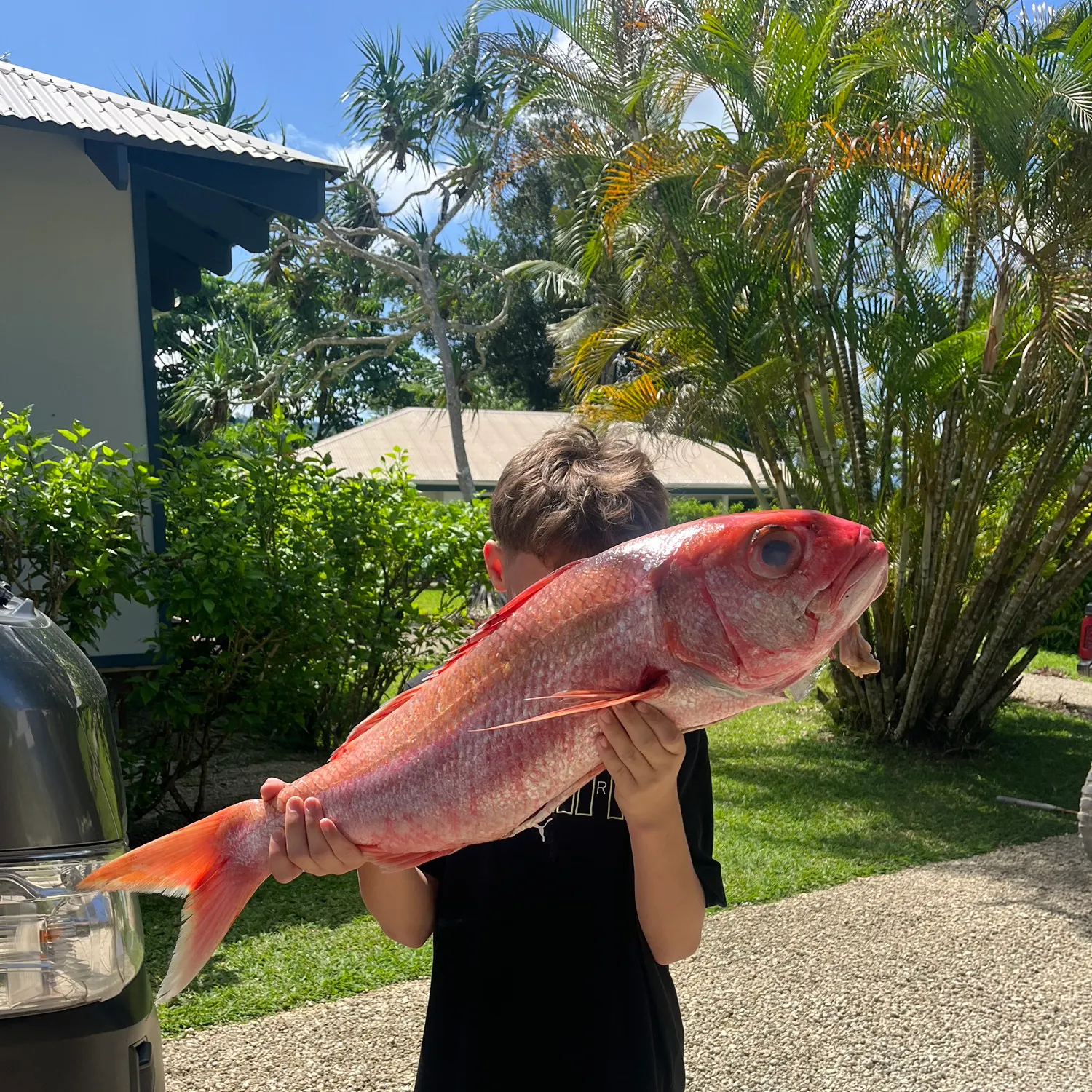 The most recent Flame snapper catches on Fishbrain