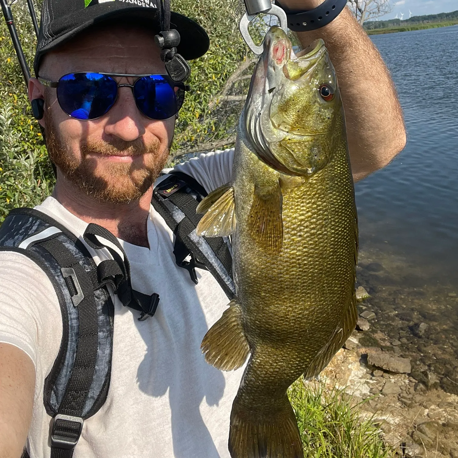 Smallmouth bass caught on Fishbrain