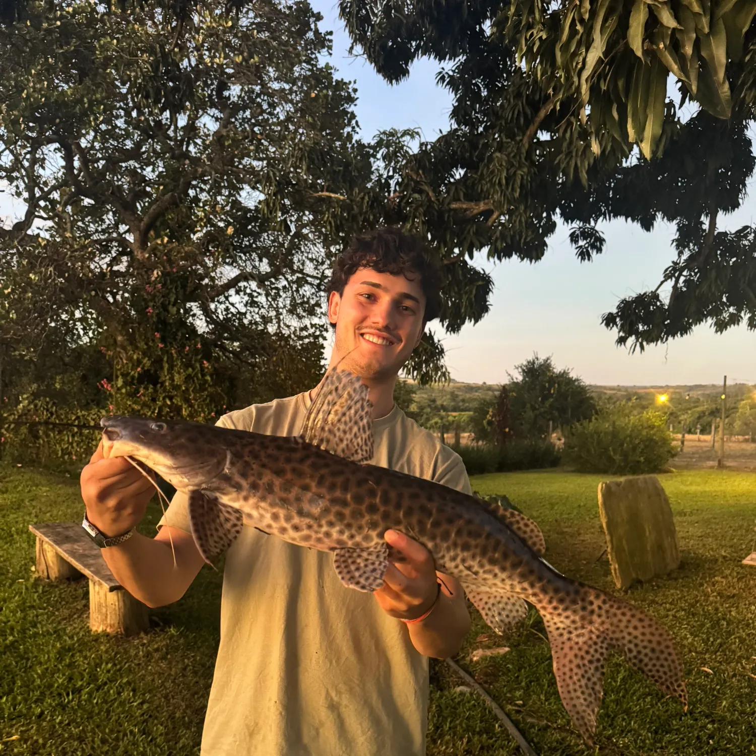 The most recent Spotted sorubim catches on Fishbrain