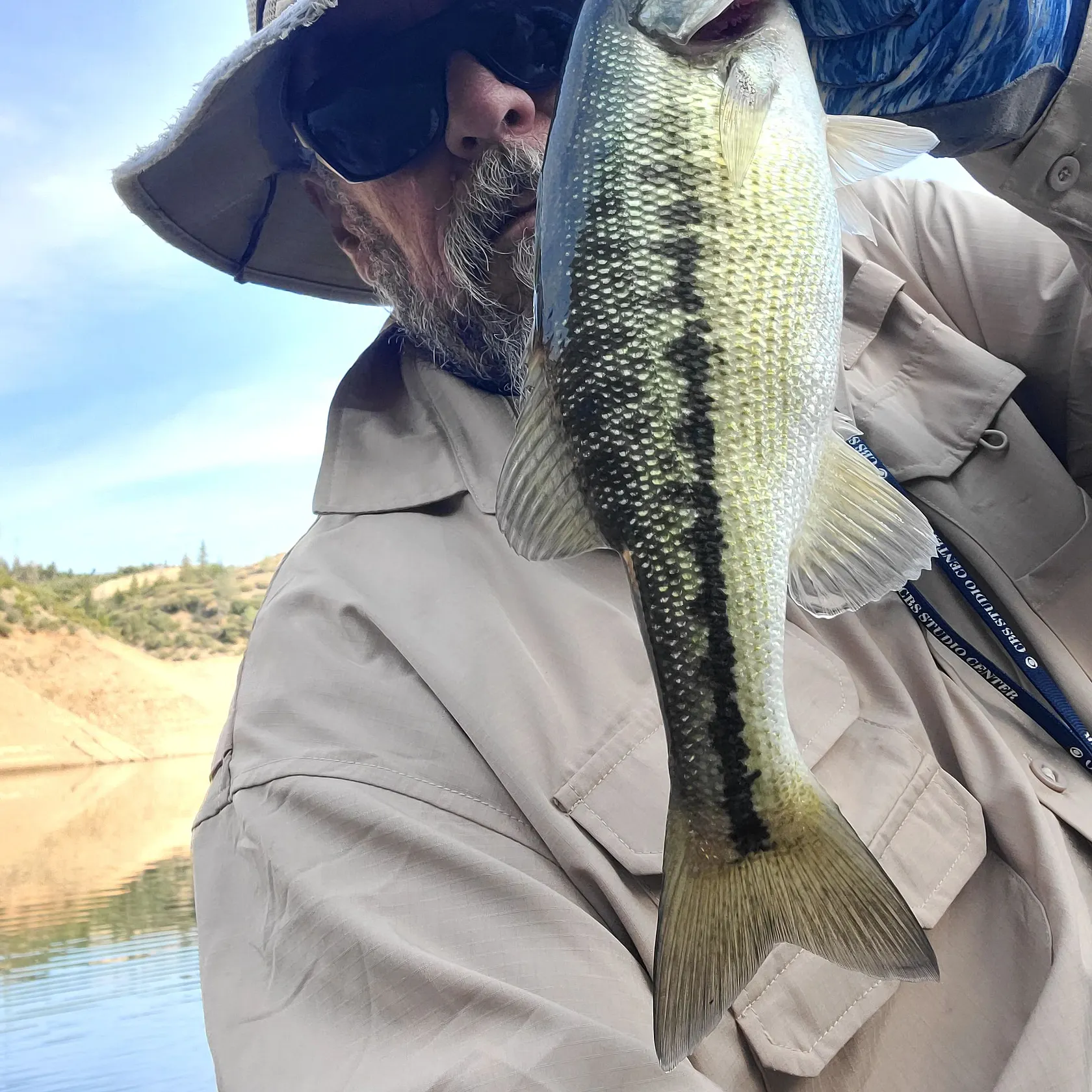 Spotted bass caught on Fishbrain