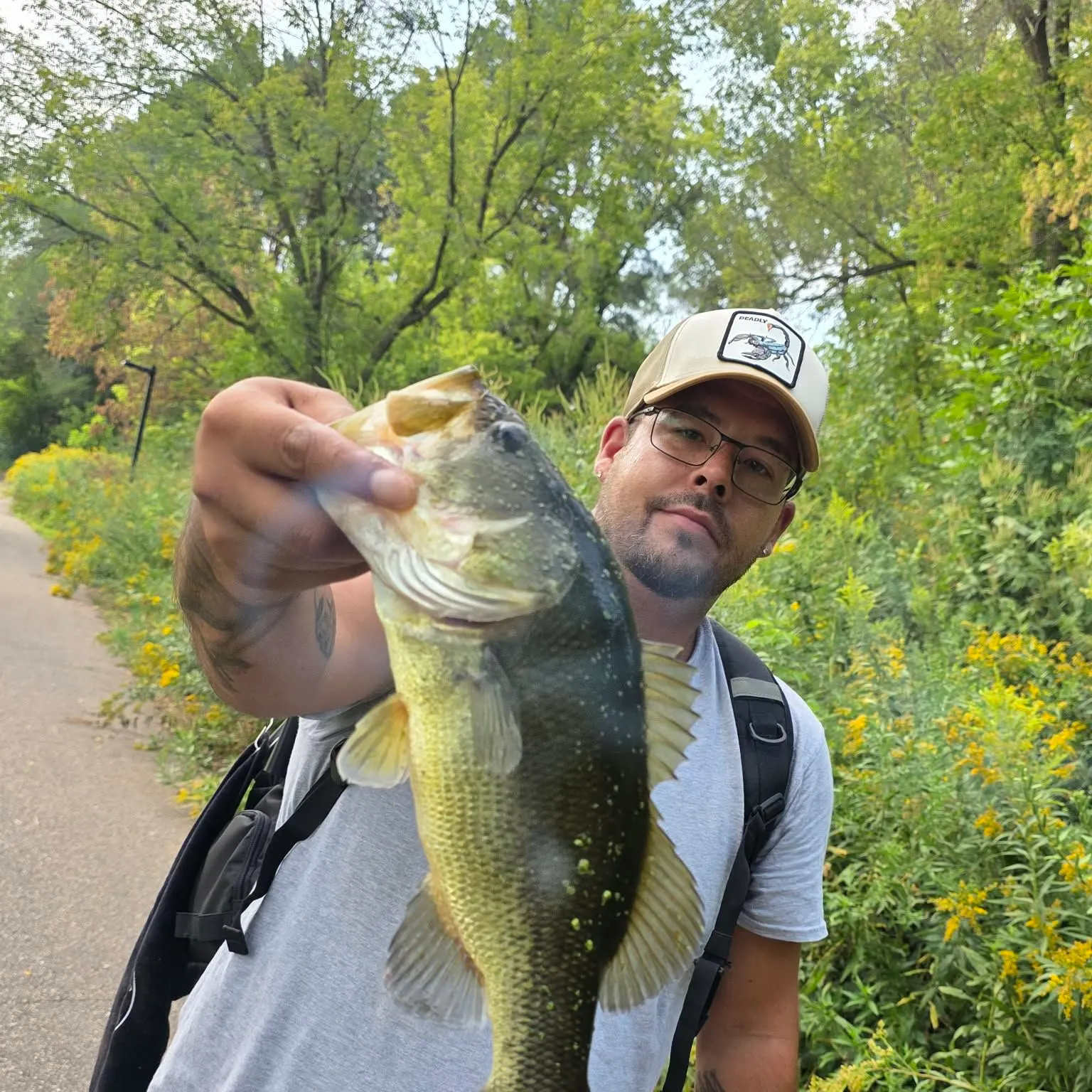 Largemouth bass caught on Fishbrain