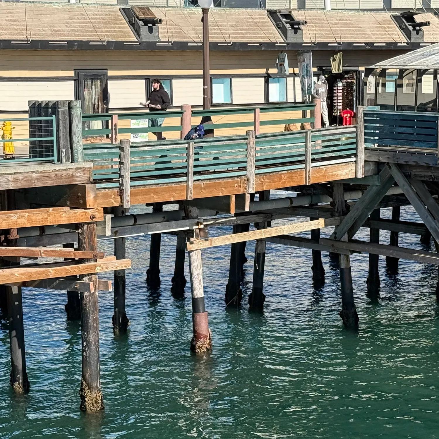 The most recent Surf smelt catches on Fishbrain