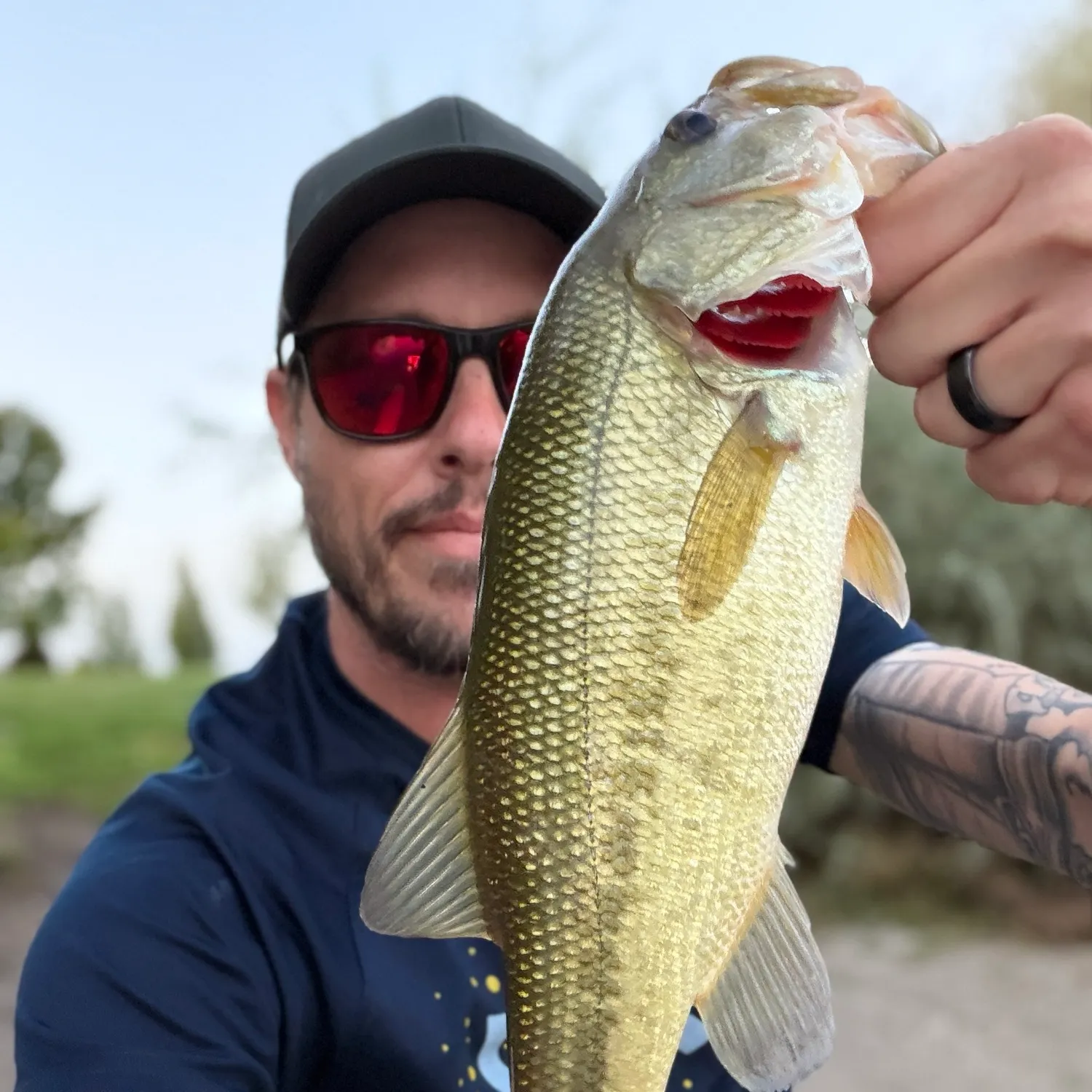 Largemouth bass caught on Fishbrain