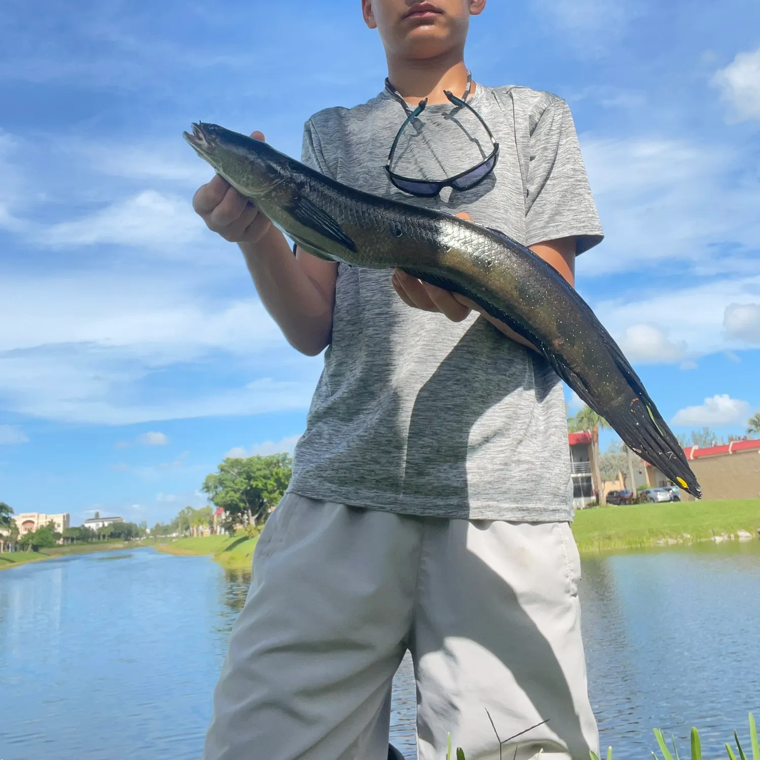 The most recent Bullseye snakehead catches on Fishbrain