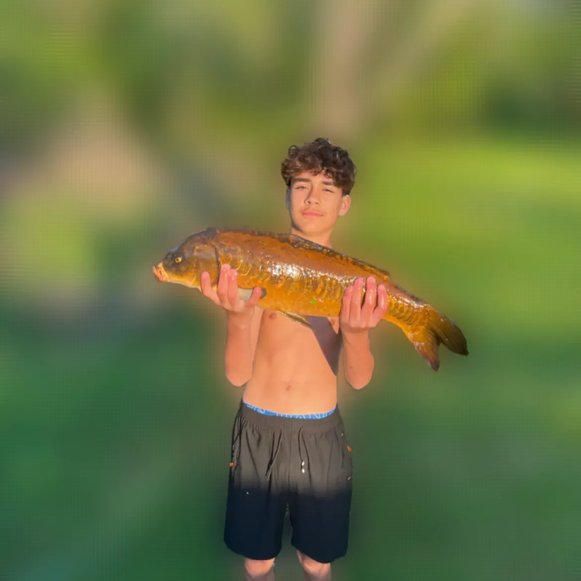 Mirror carp caught on Fishbrain