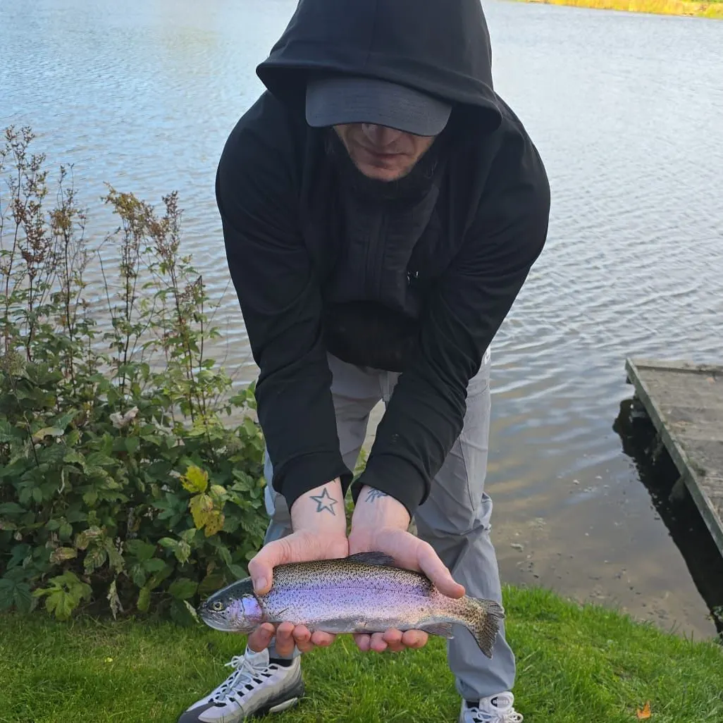 Rainbow trout caught on Fishbrain