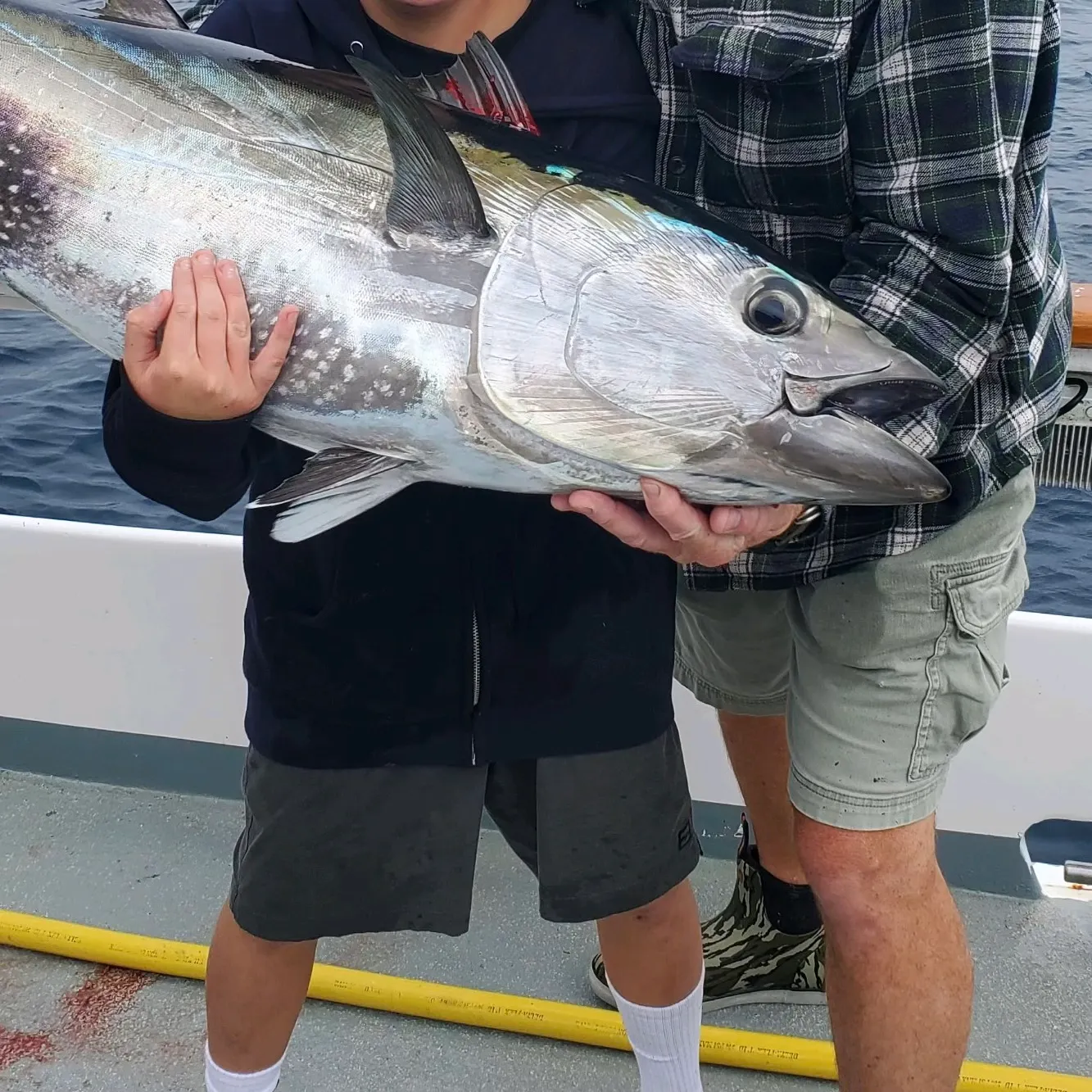 The most recent Atlantic bluefin tuna catches on Fishbrain