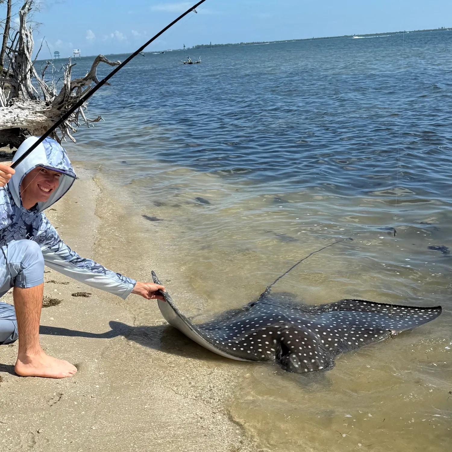 The most recent Common eagle ray catches on Fishbrain