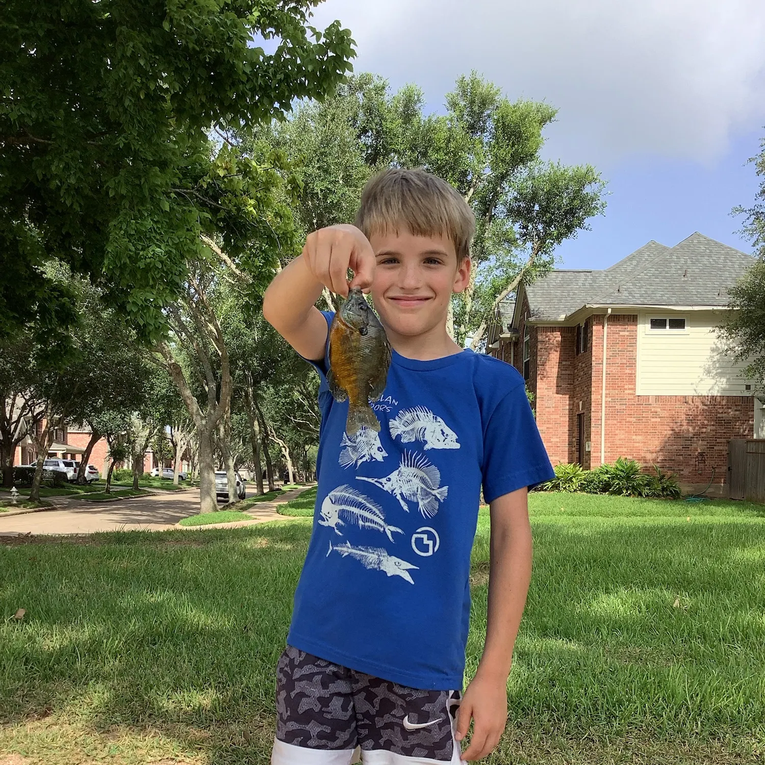 The most recent Bluegill catches on Fishbrain