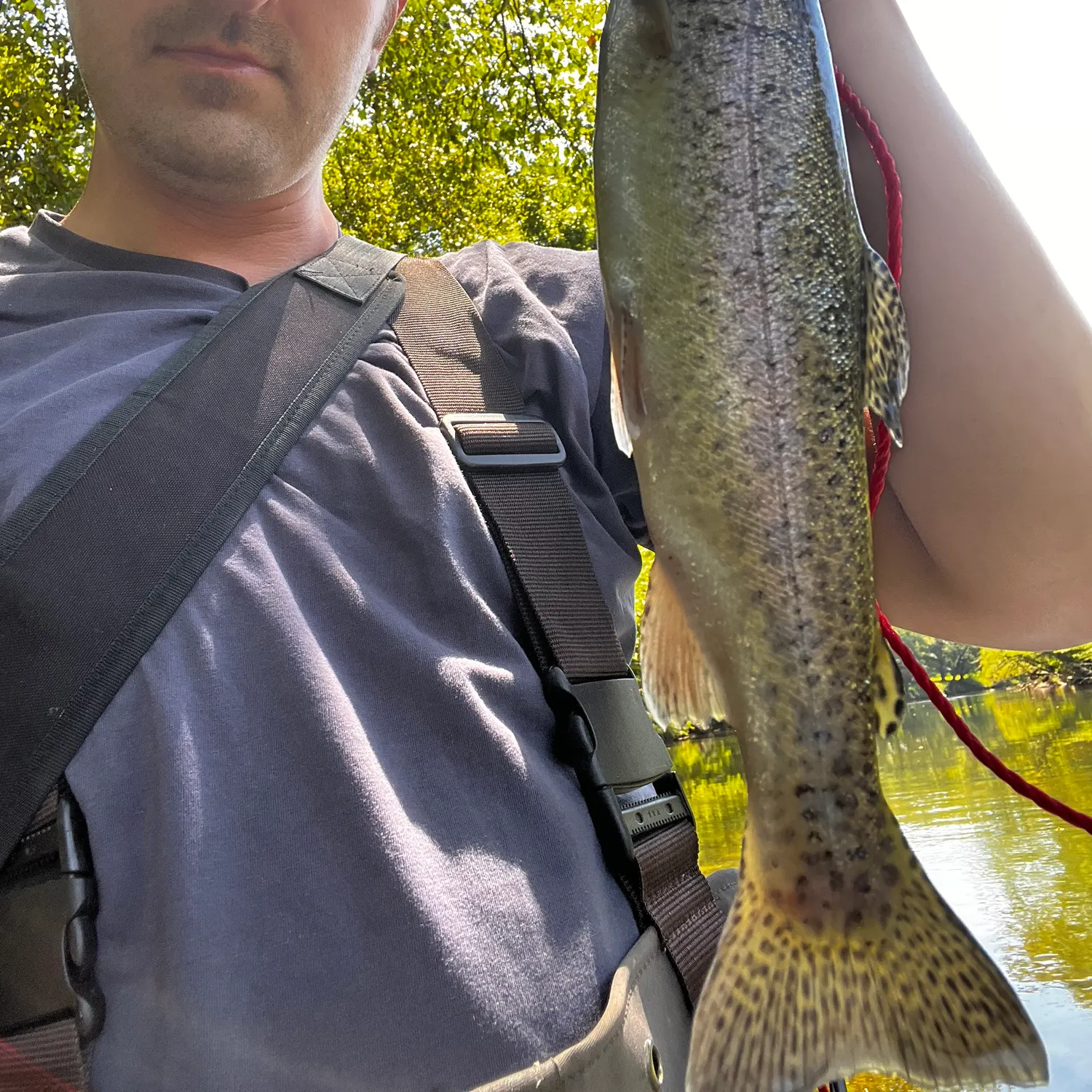 Rainbow trout caught on Fishbrain